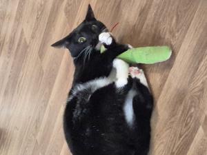 베스트 후기 이미지