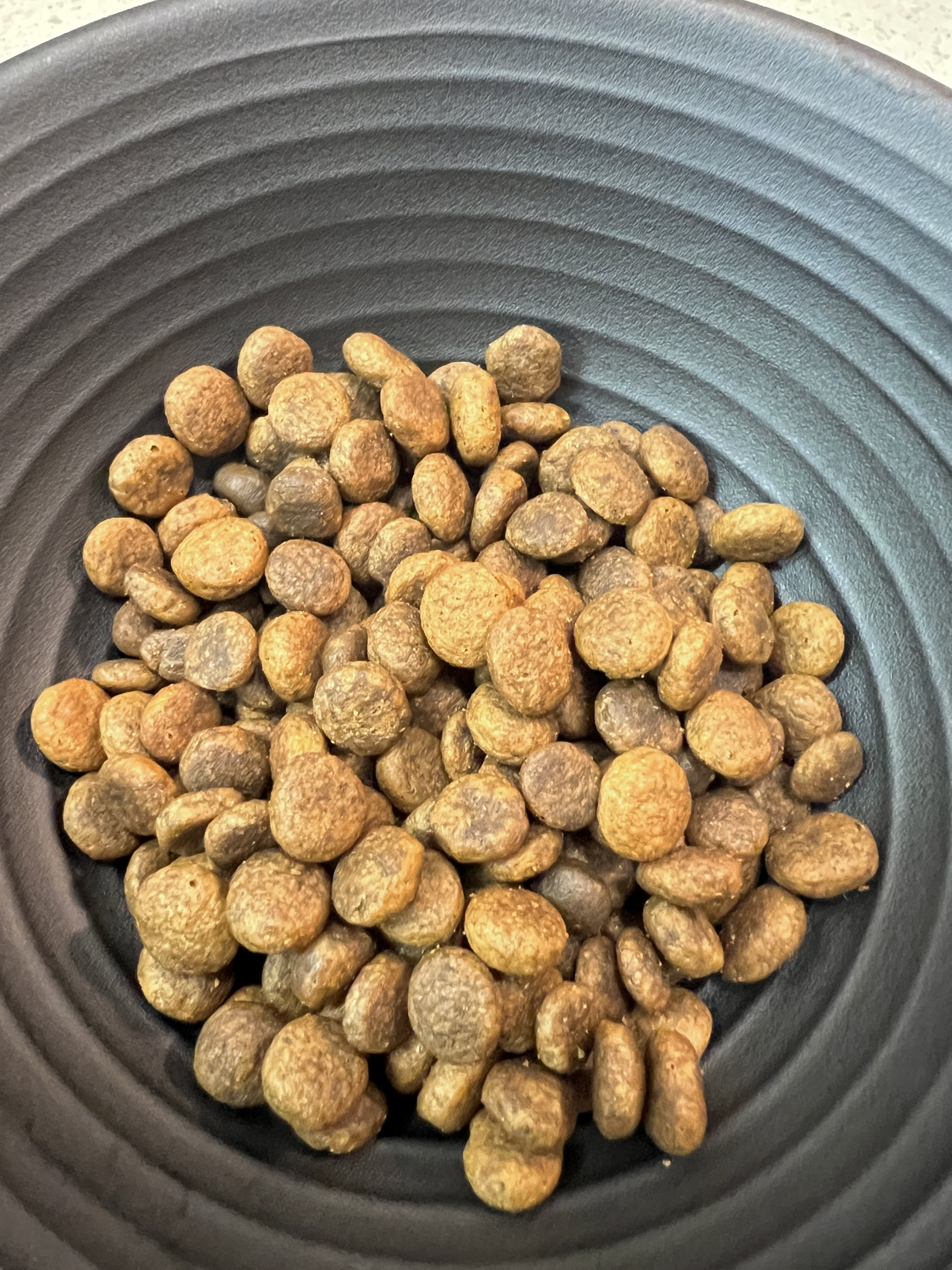 베스트 후기 이미지