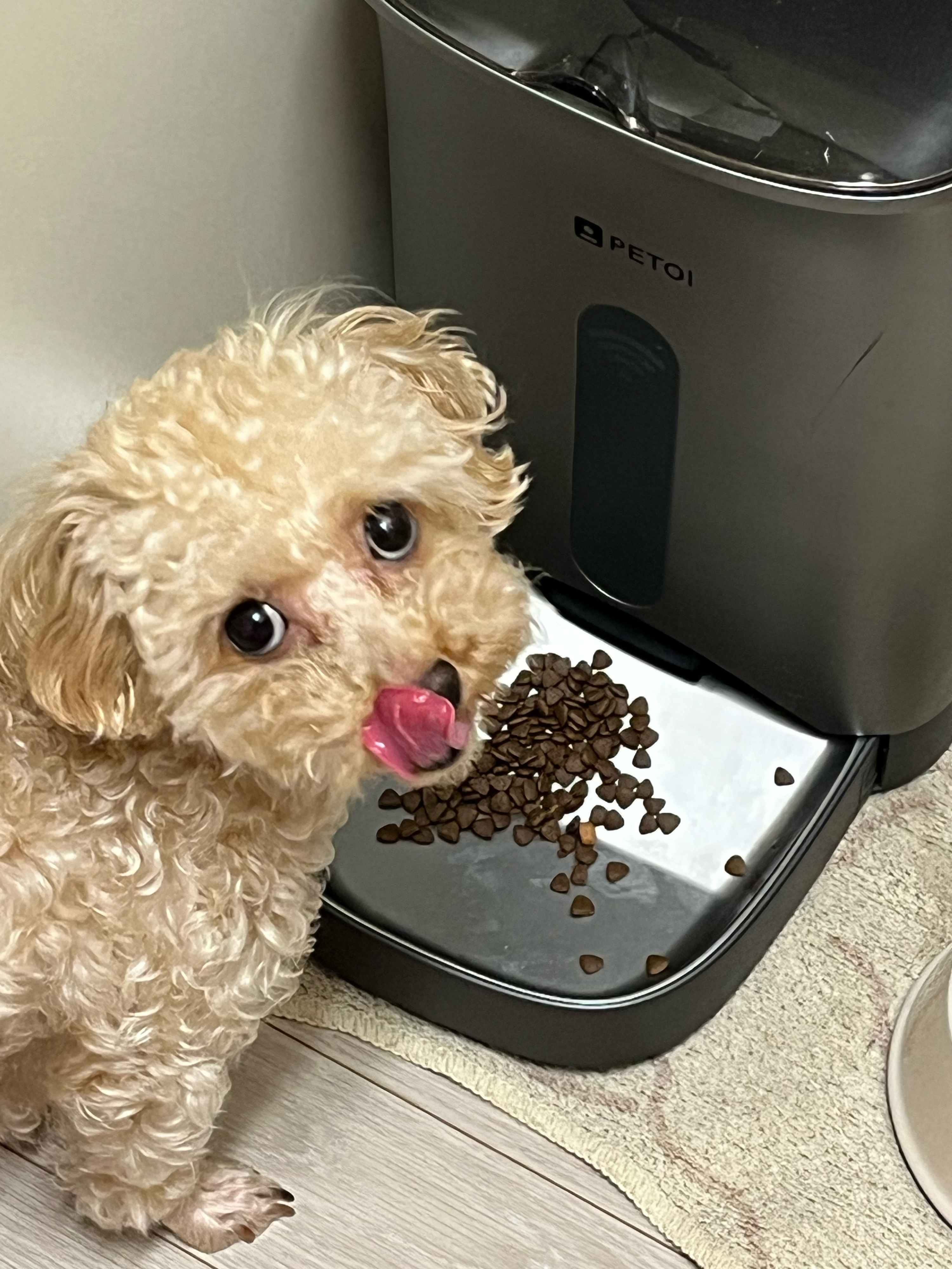 베스트 후기 이미지