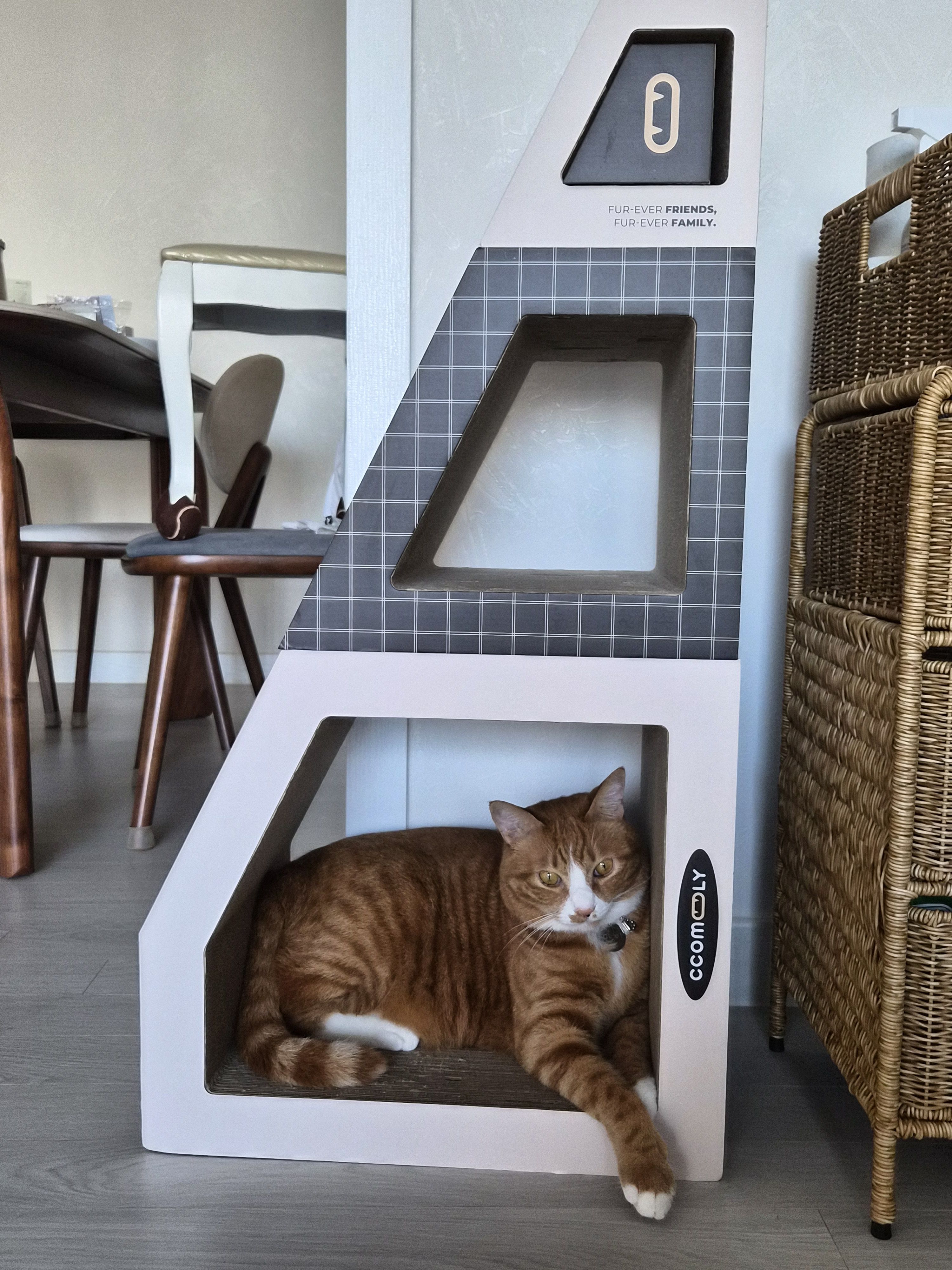 베스트 후기 이미지