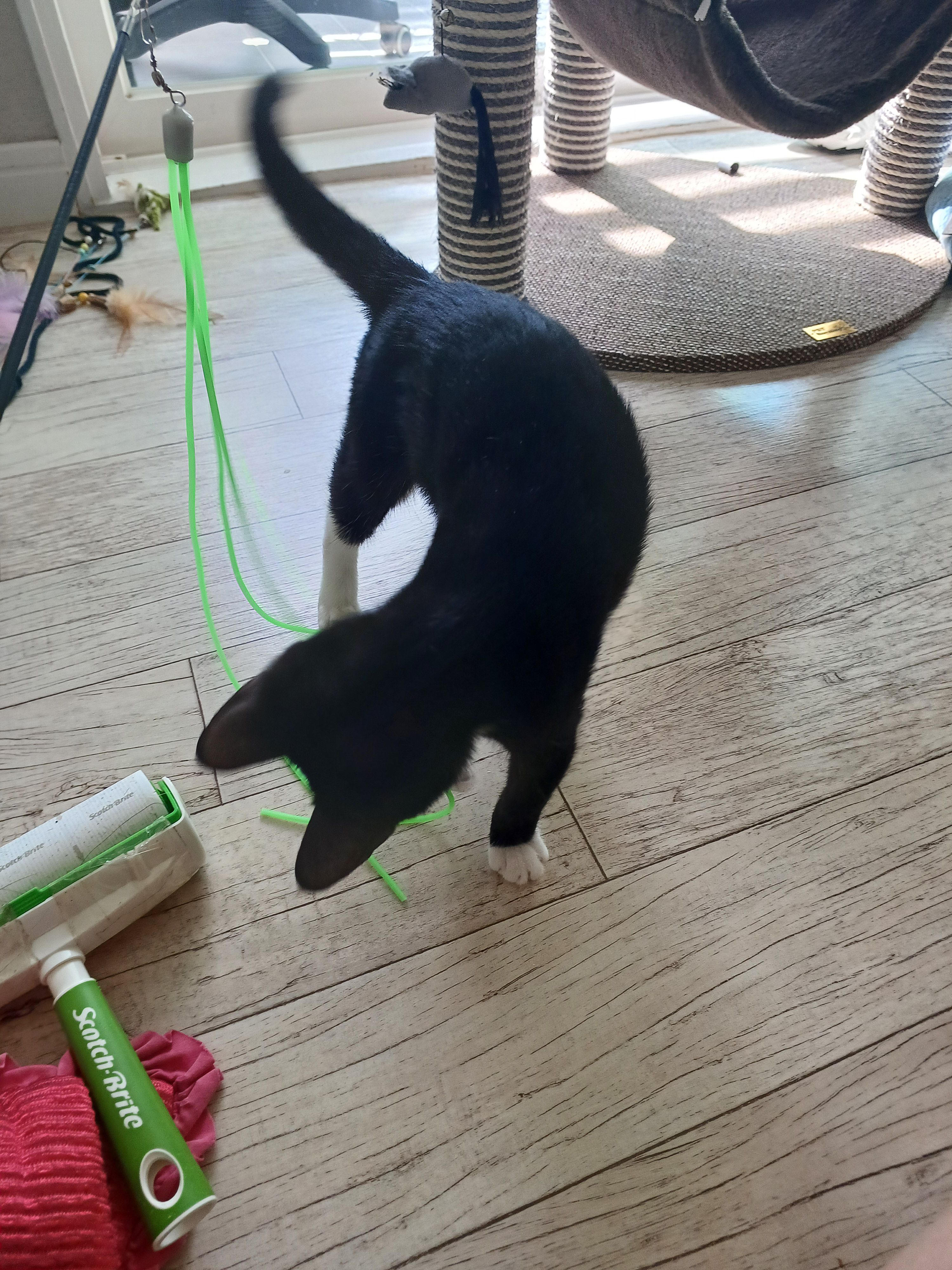 베스트 후기 이미지