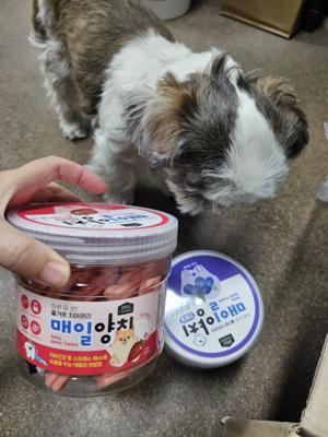 베스트 후기 이미지