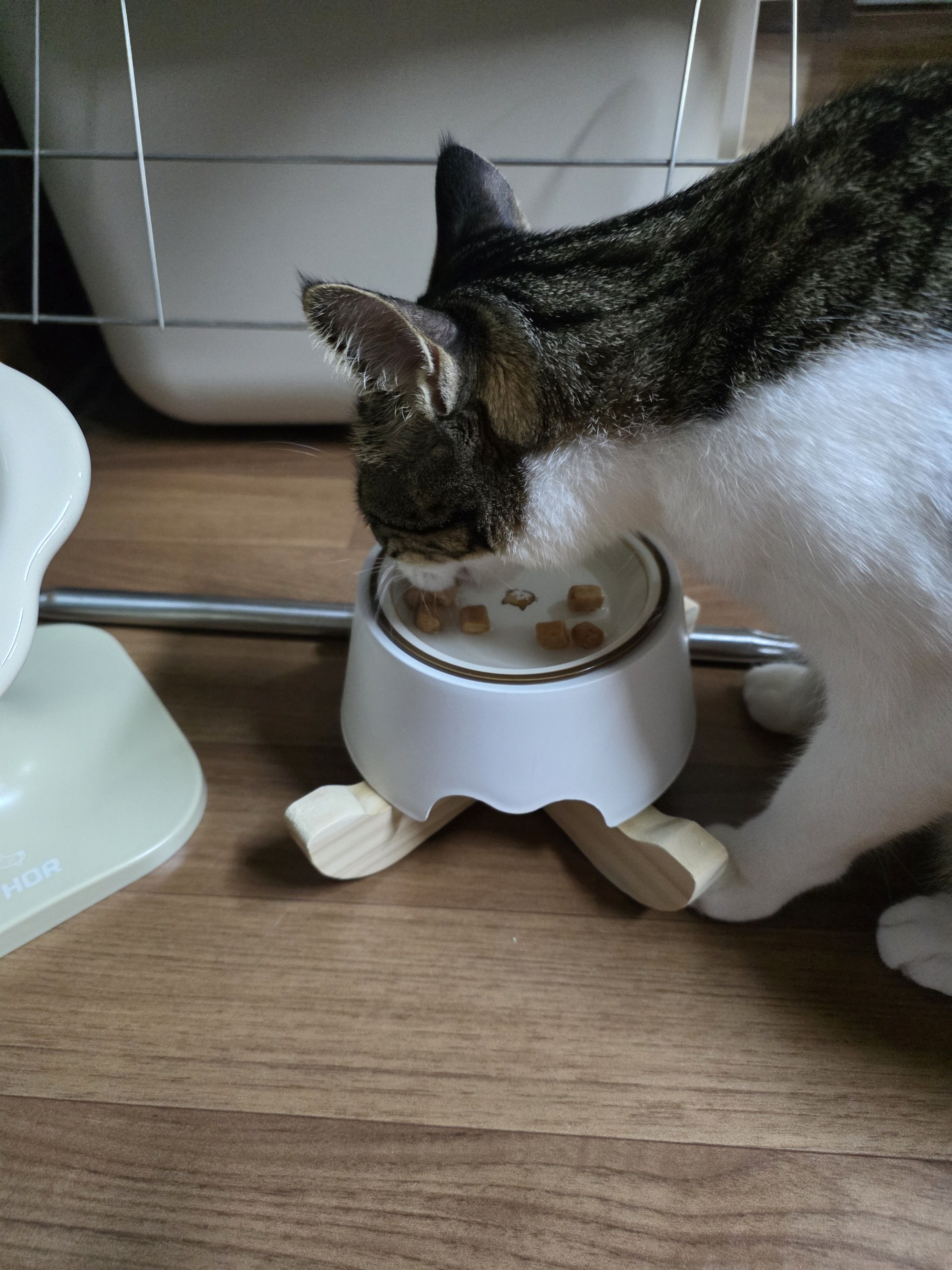 베스트 후기 이미지