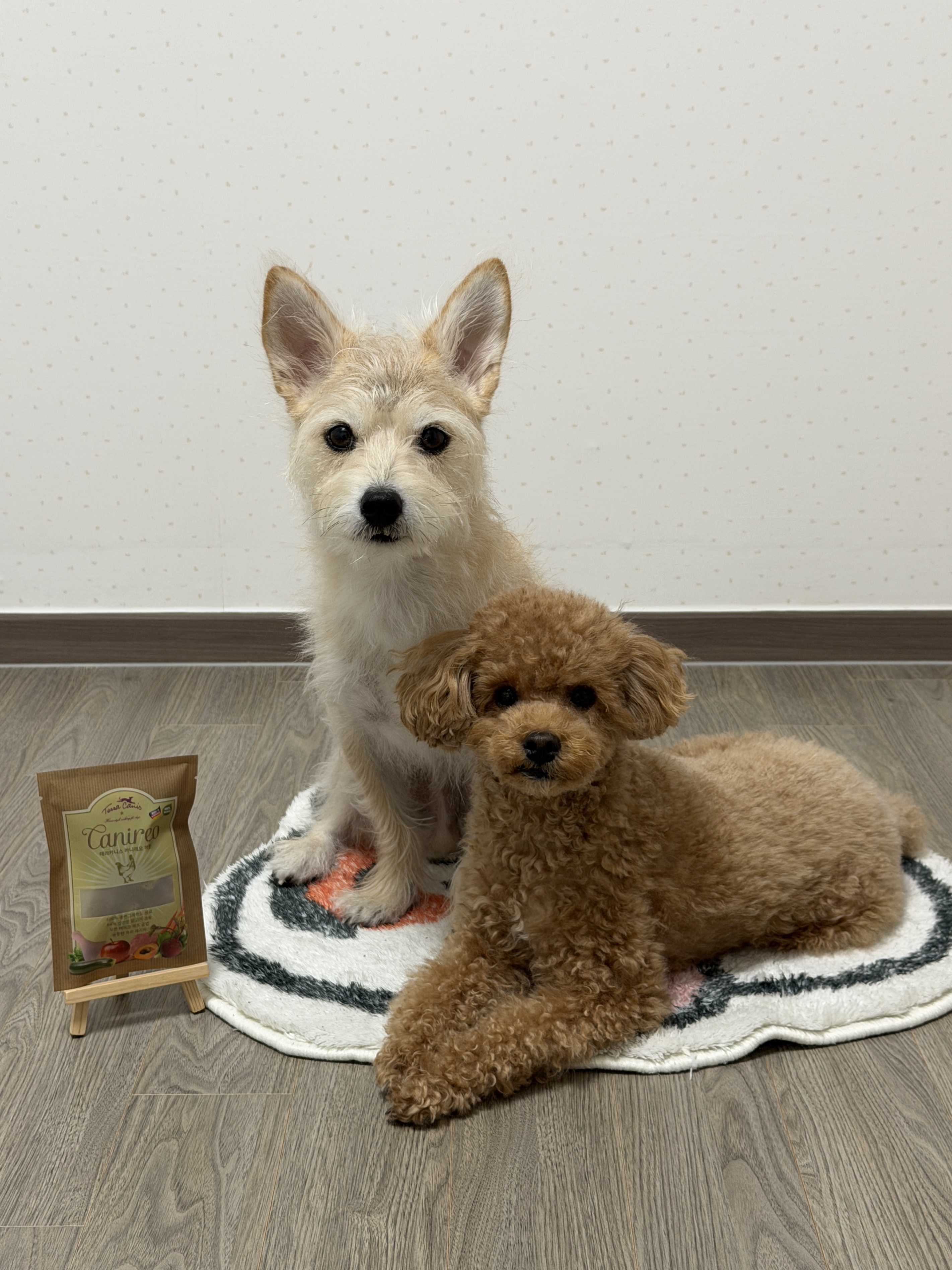 베스트 후기 이미지