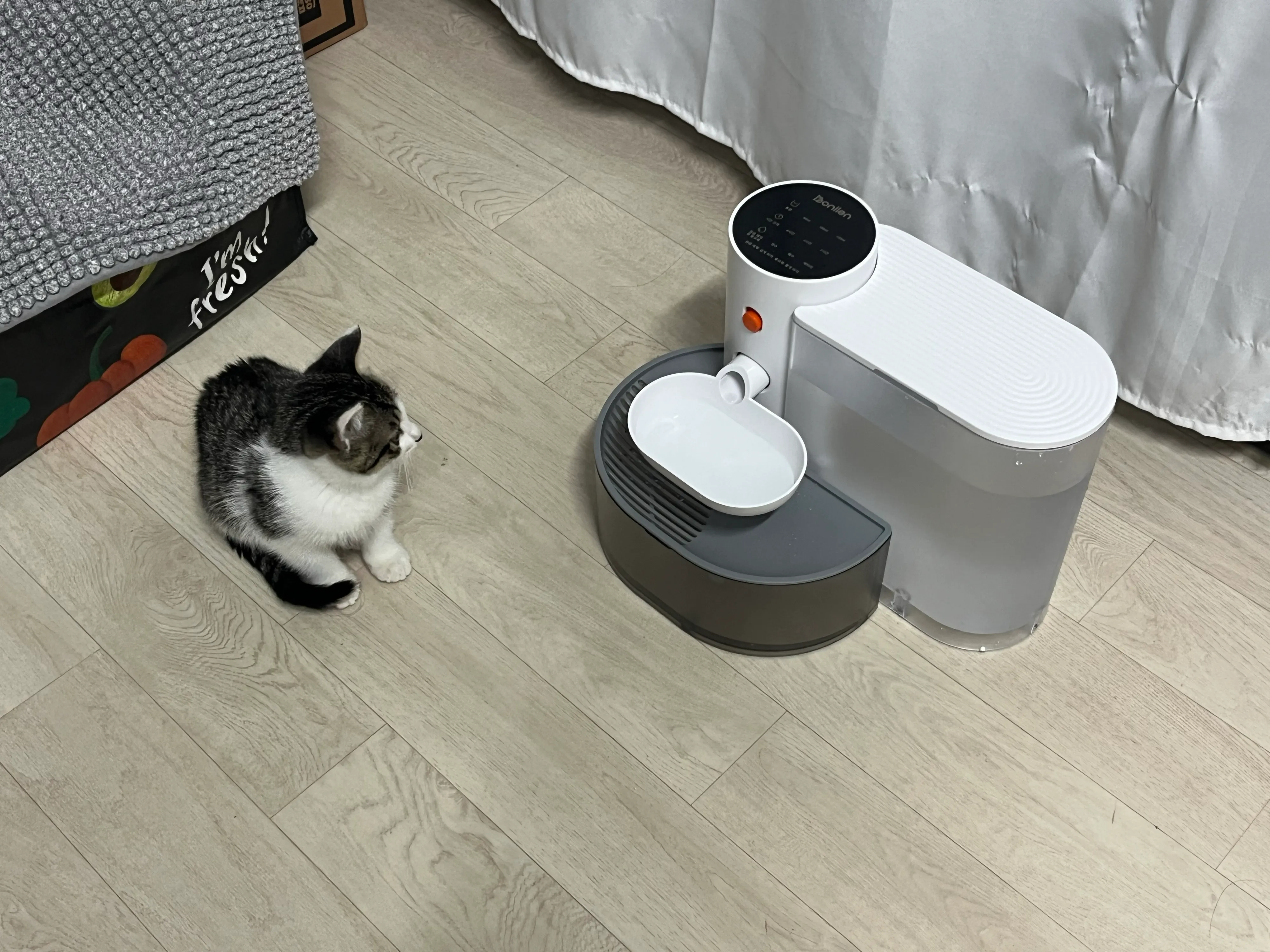 베스트 후기 이미지