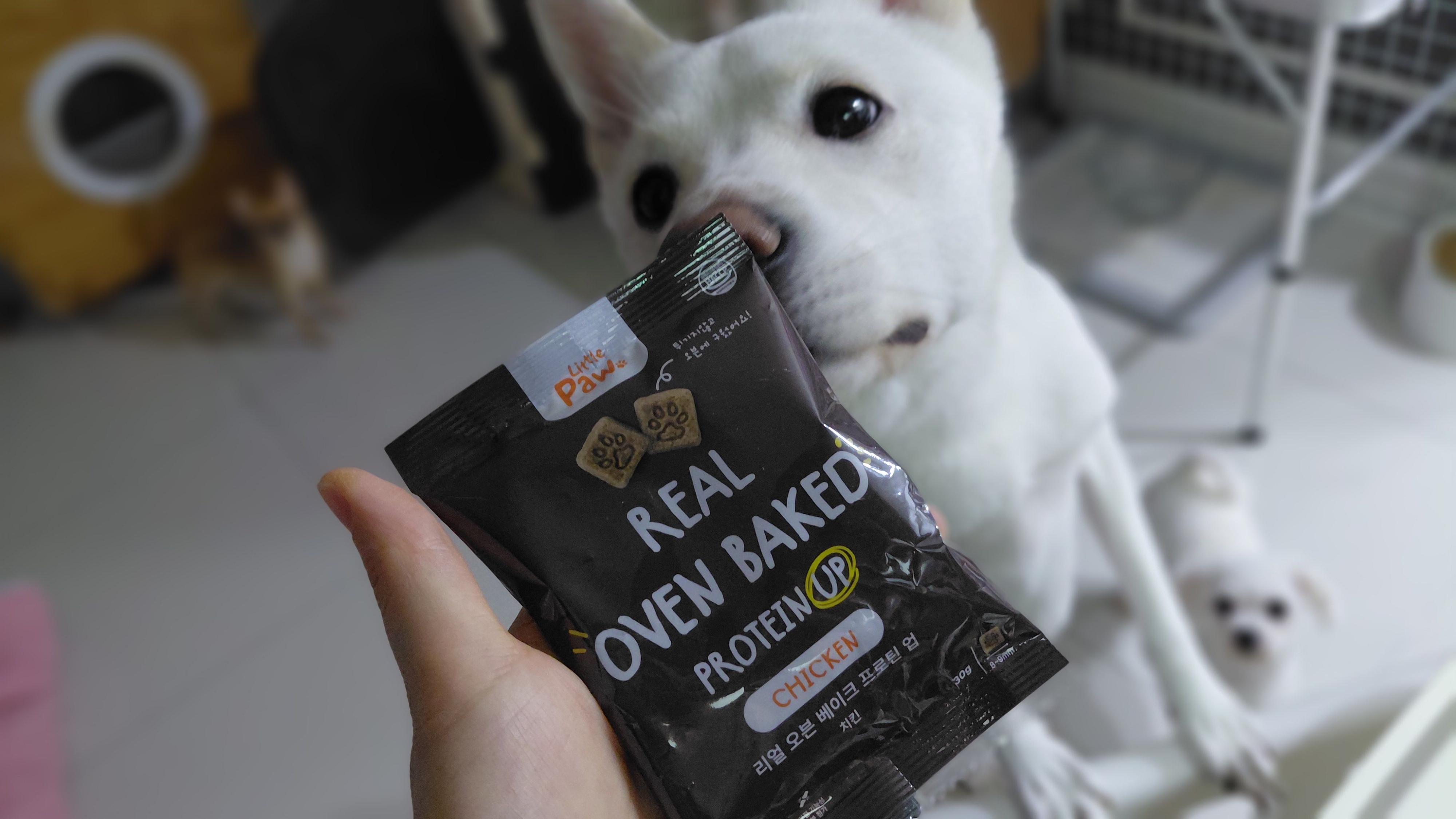 베스트 후기 이미지