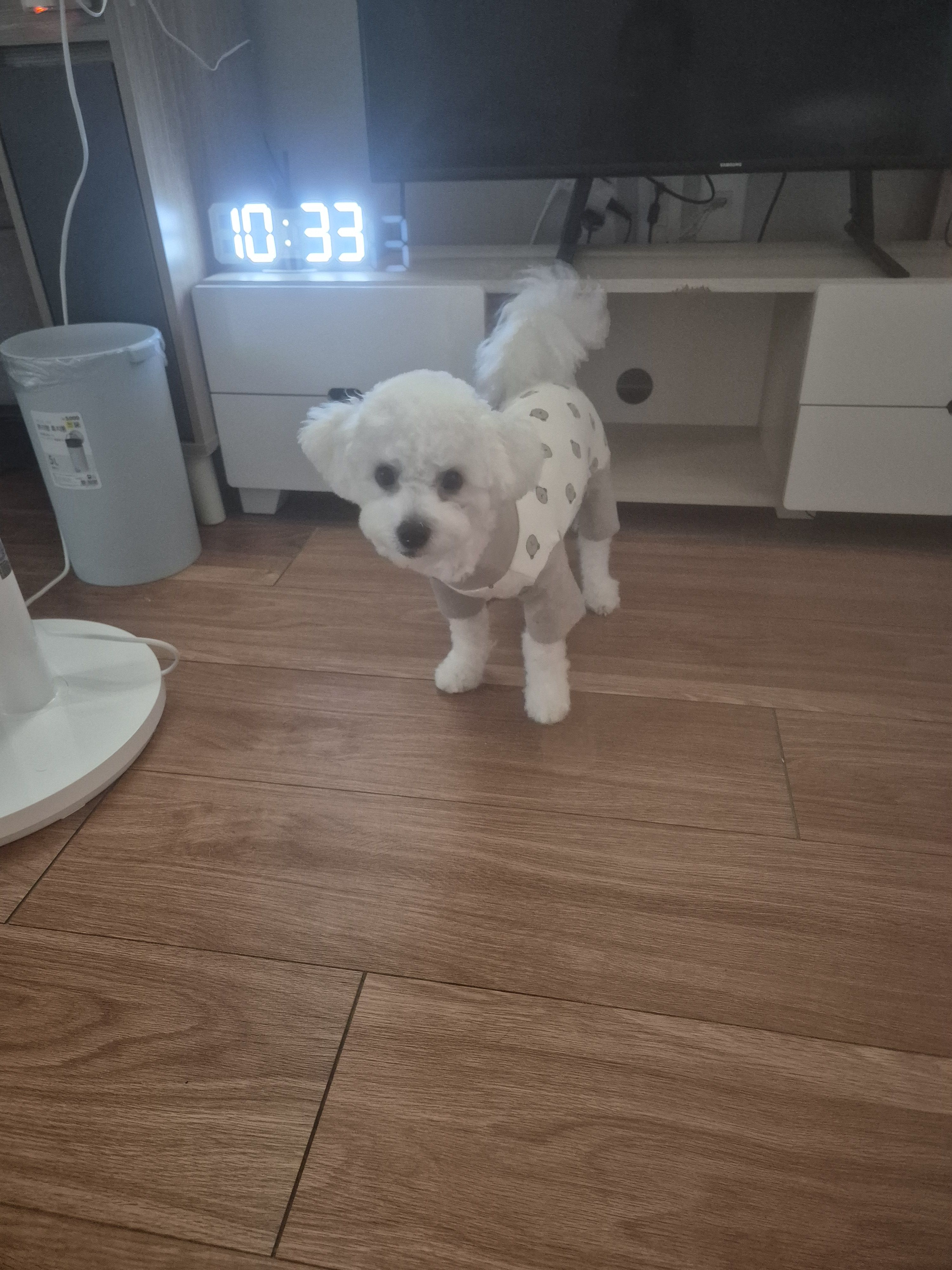 베스트 후기 이미지