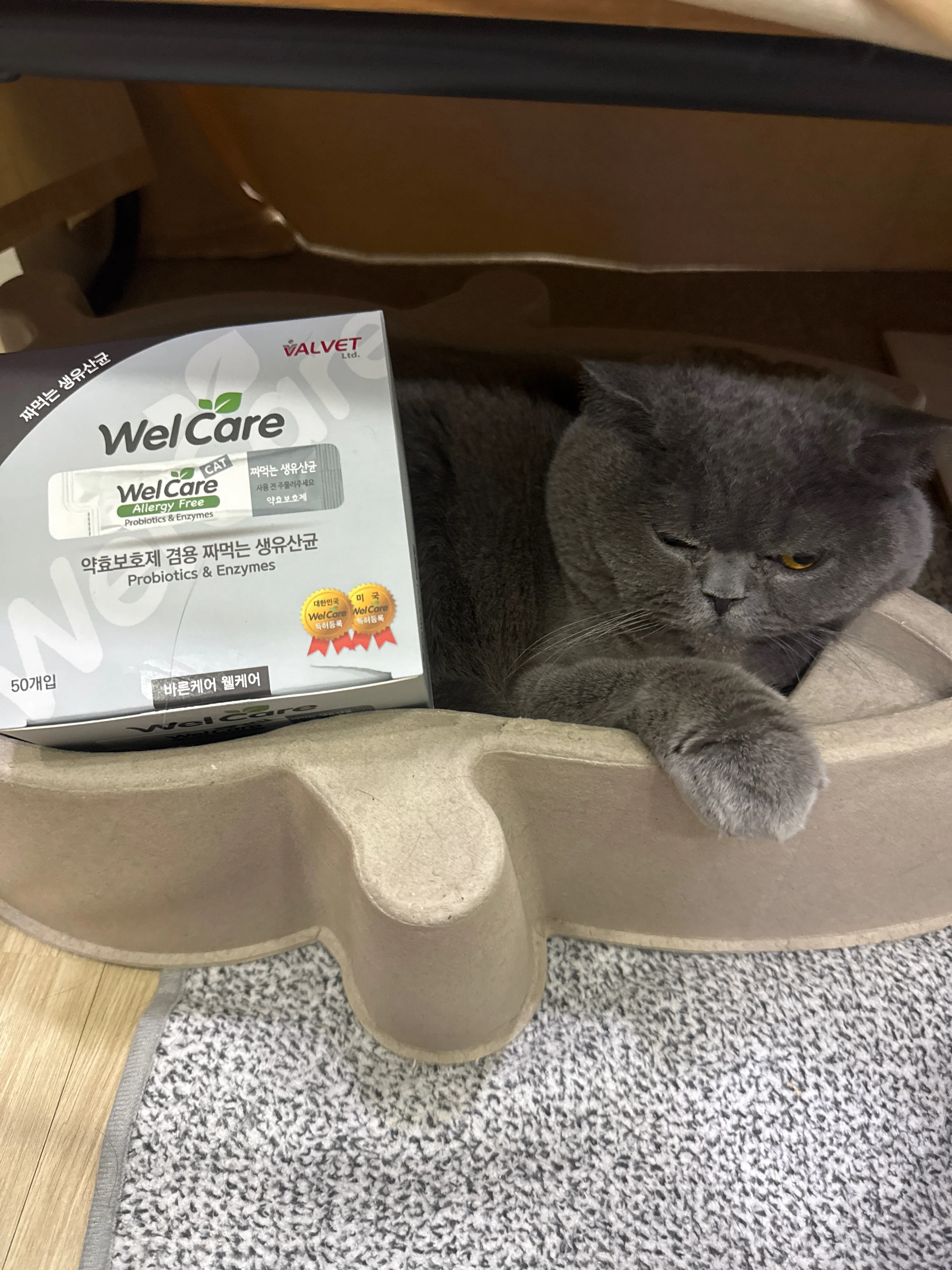 베스트 후기 이미지