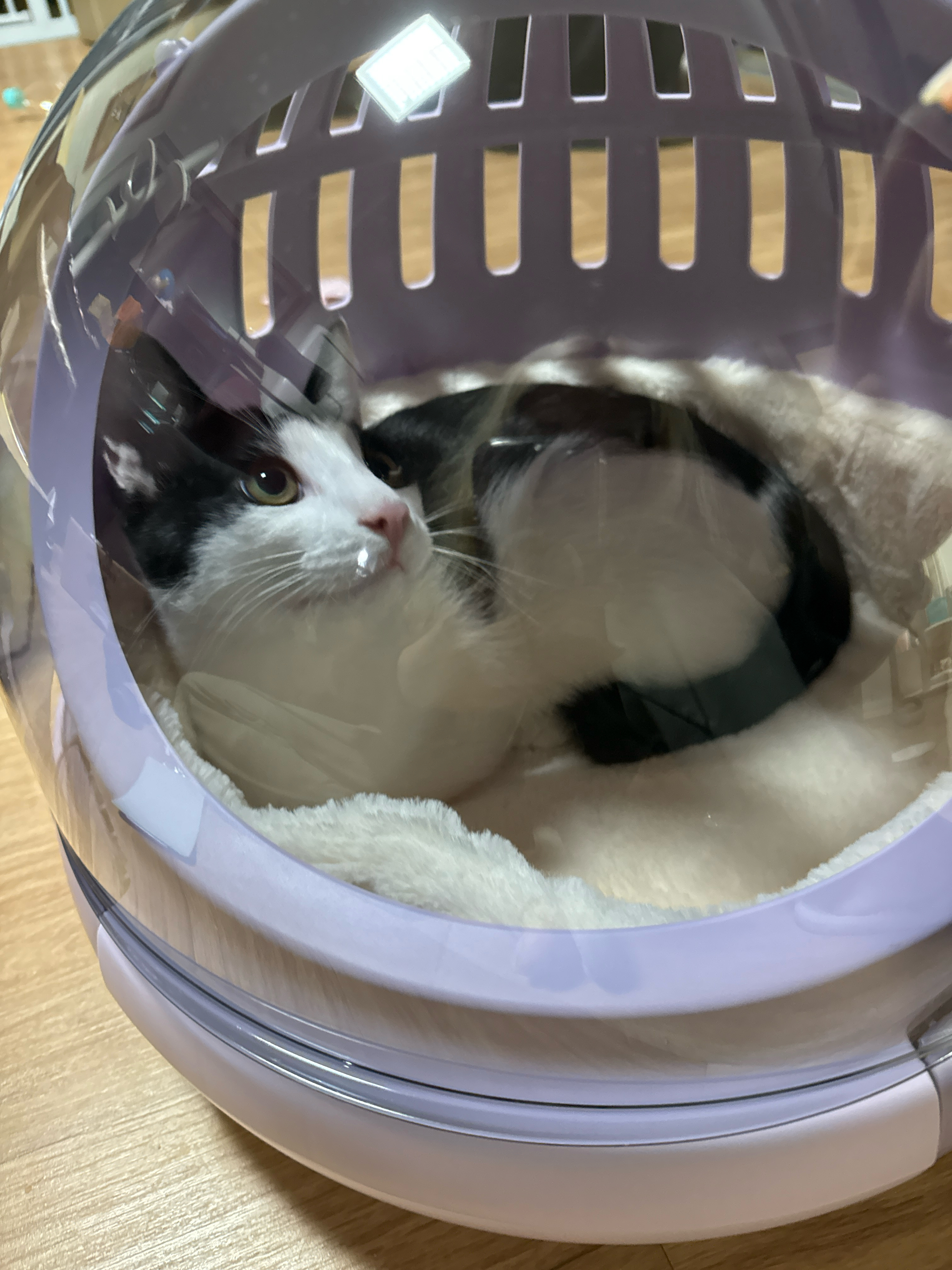 베스트 후기 이미지