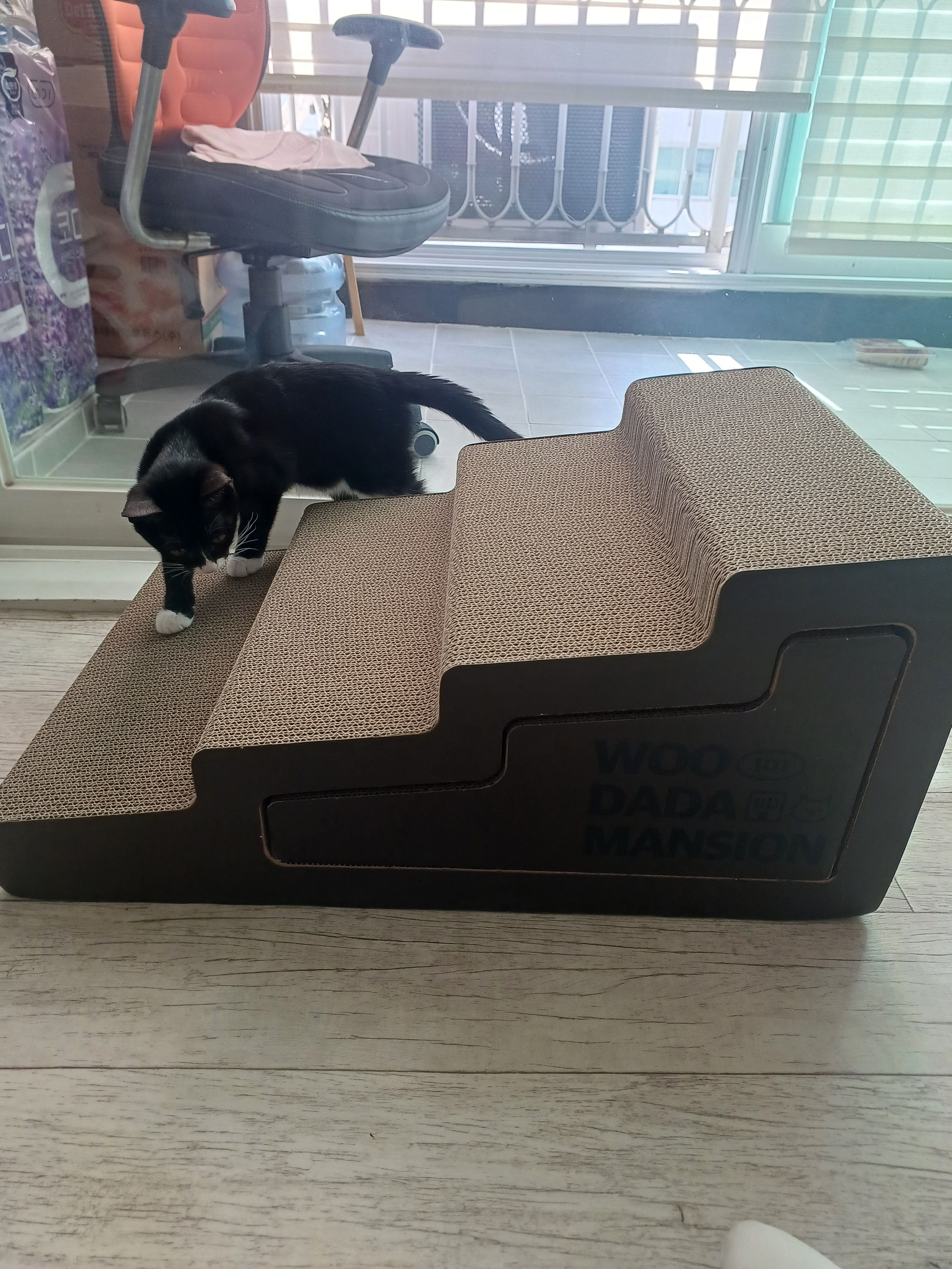 베스트 후기 이미지