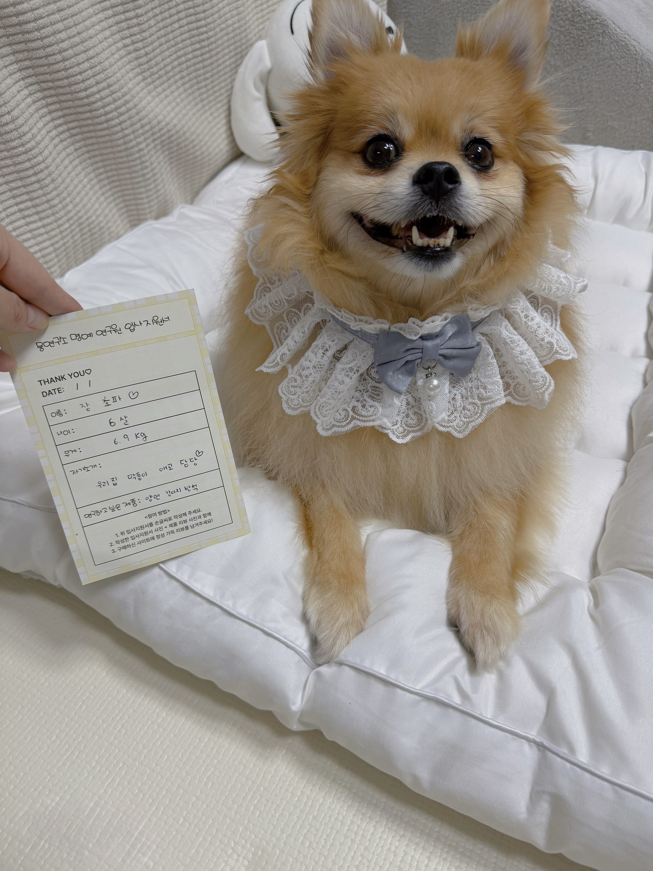 베스트 후기 이미지