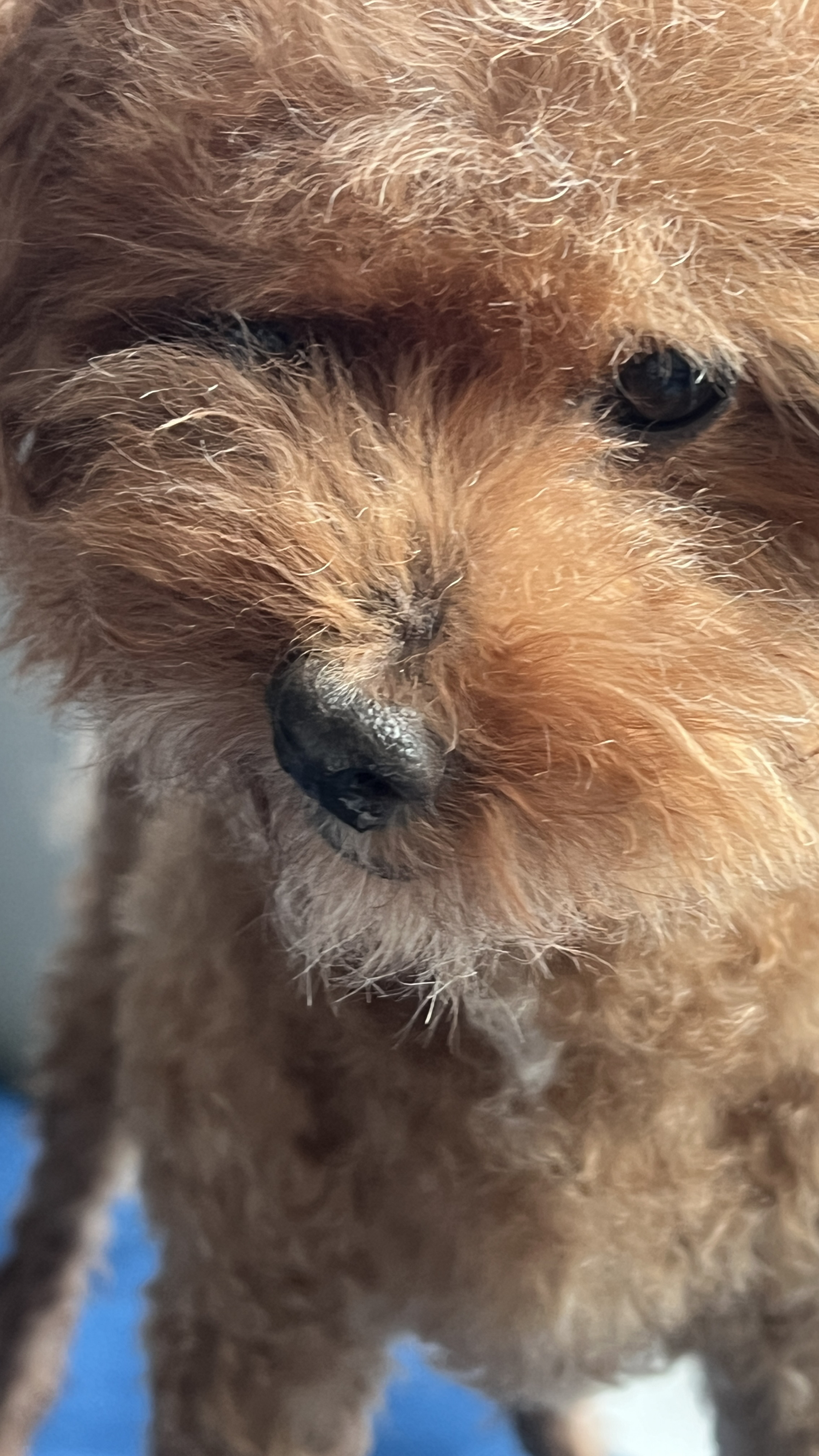 베스트 후기 이미지