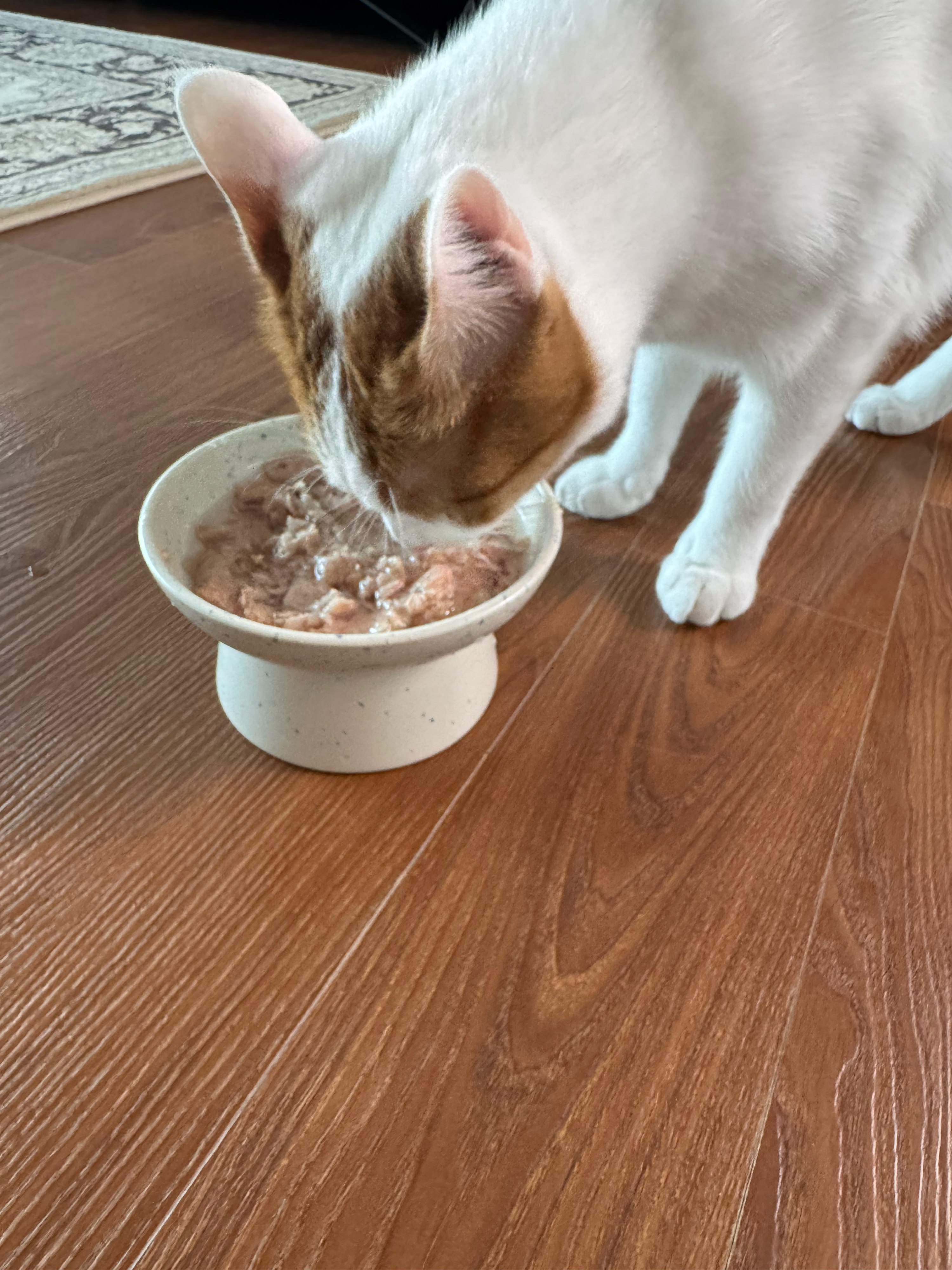 베스트 후기 이미지