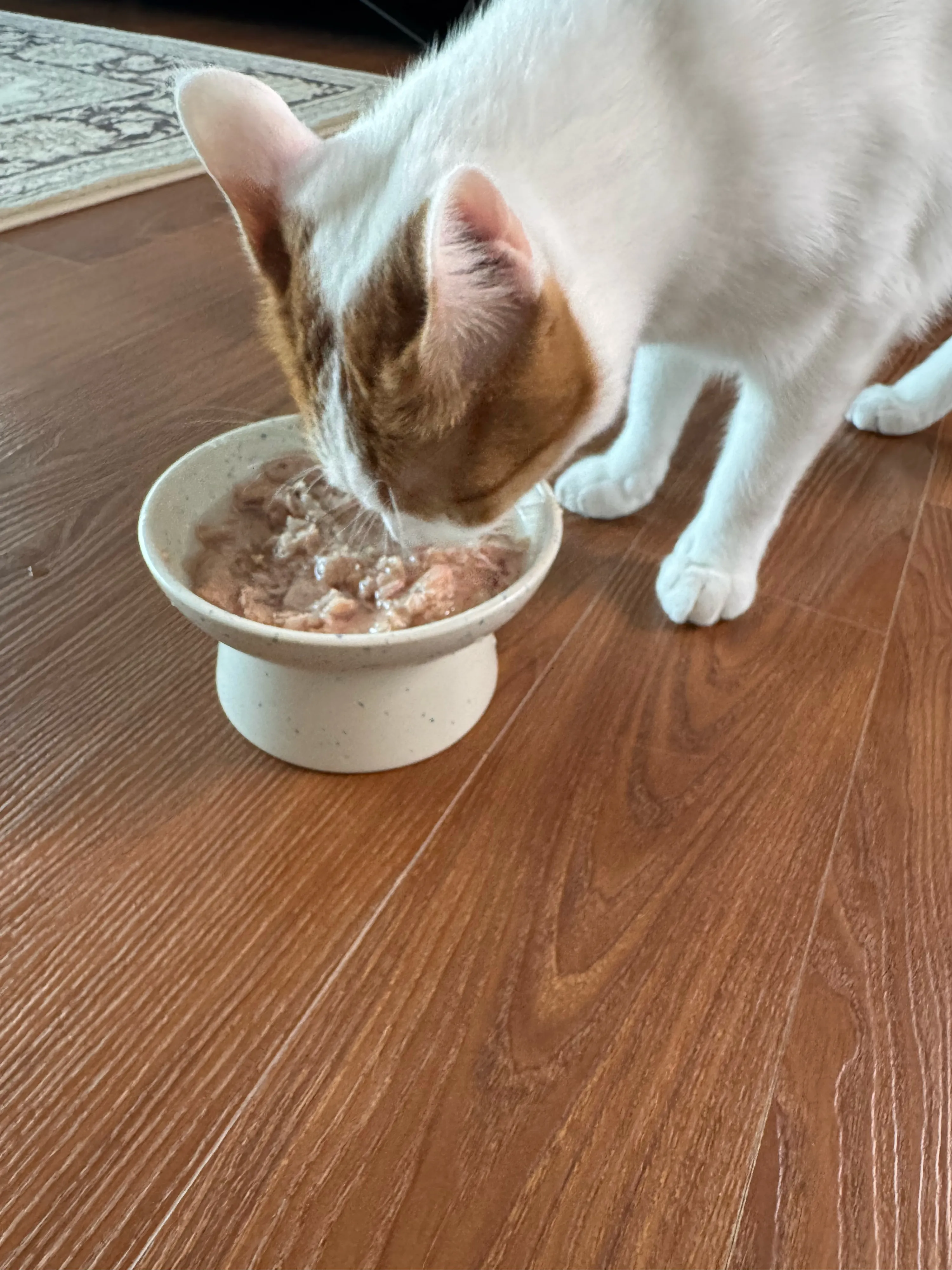 베스트 후기 이미지