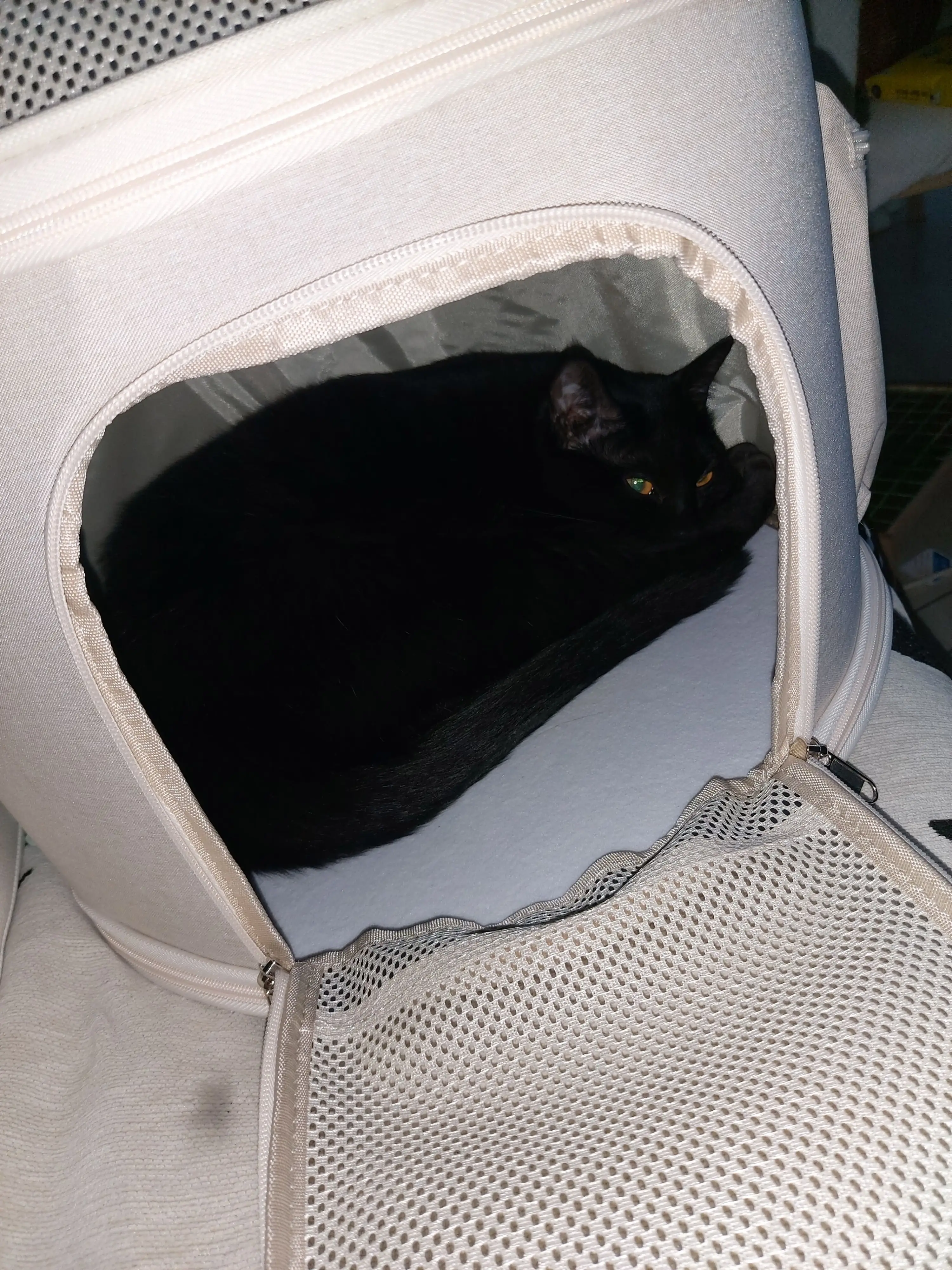 이너프파이브 숨숨 와이드 이동장 아이보리 베스트 후기 이미지