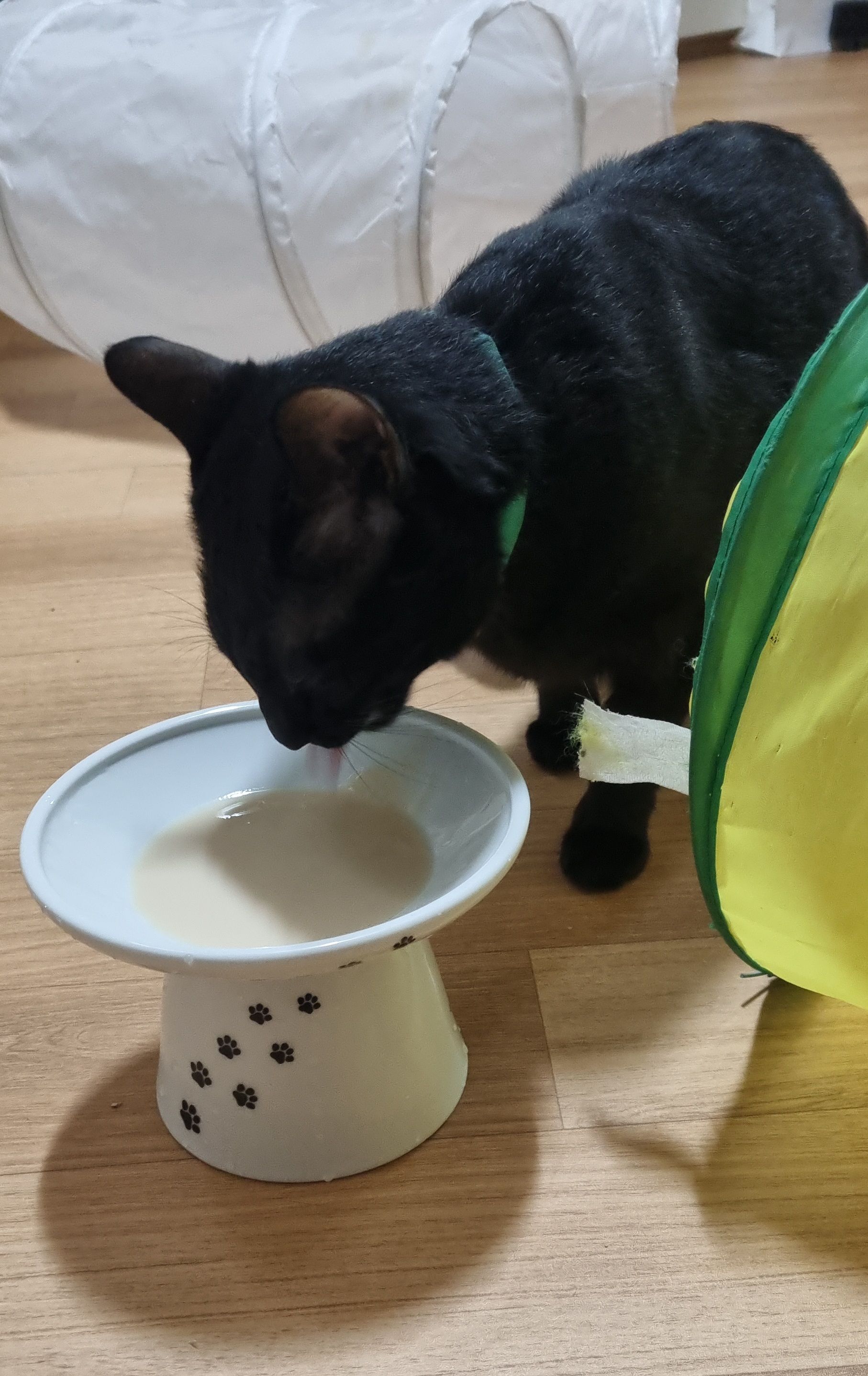 베스트 후기 이미지