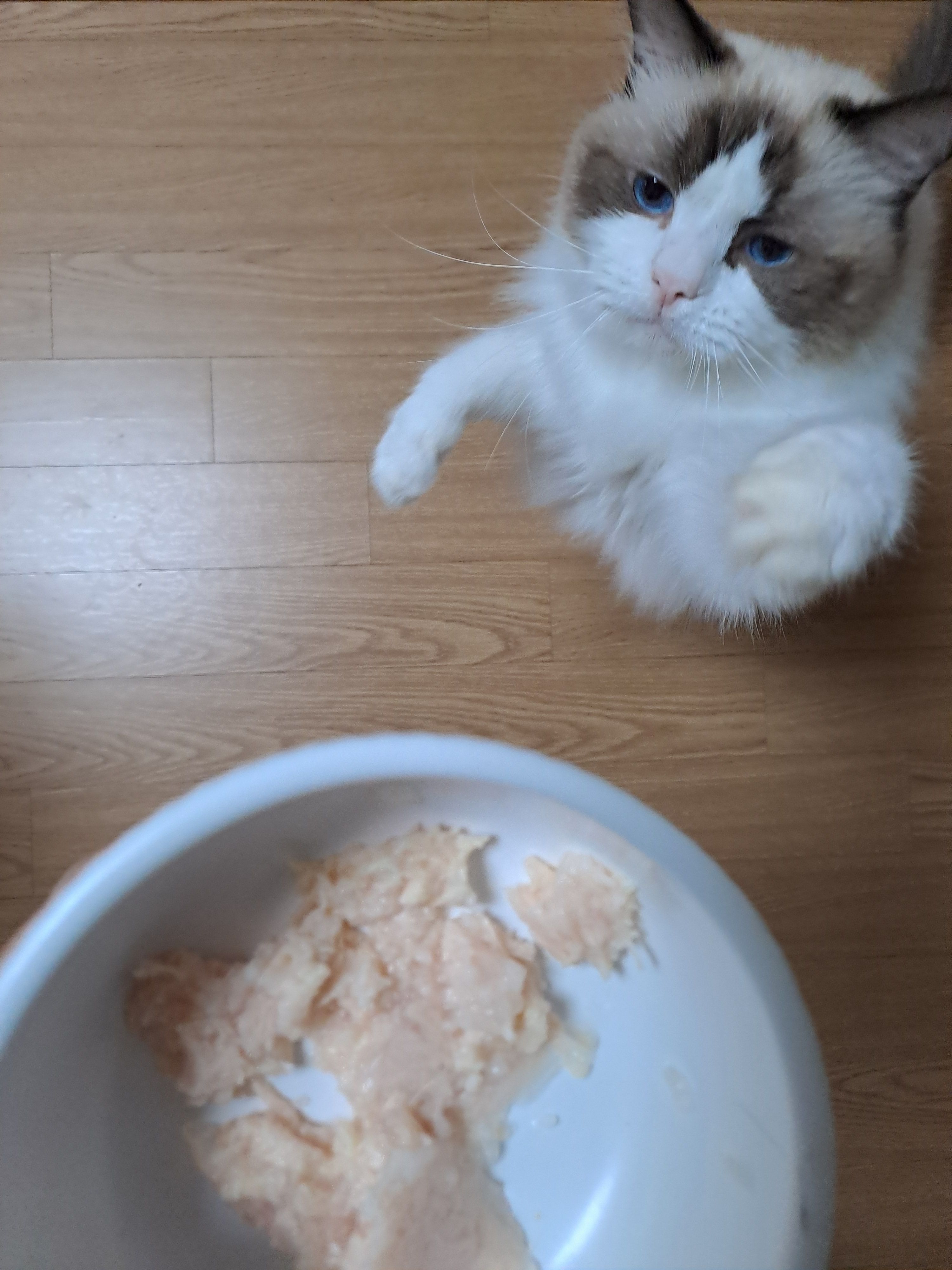 베스트 후기 이미지