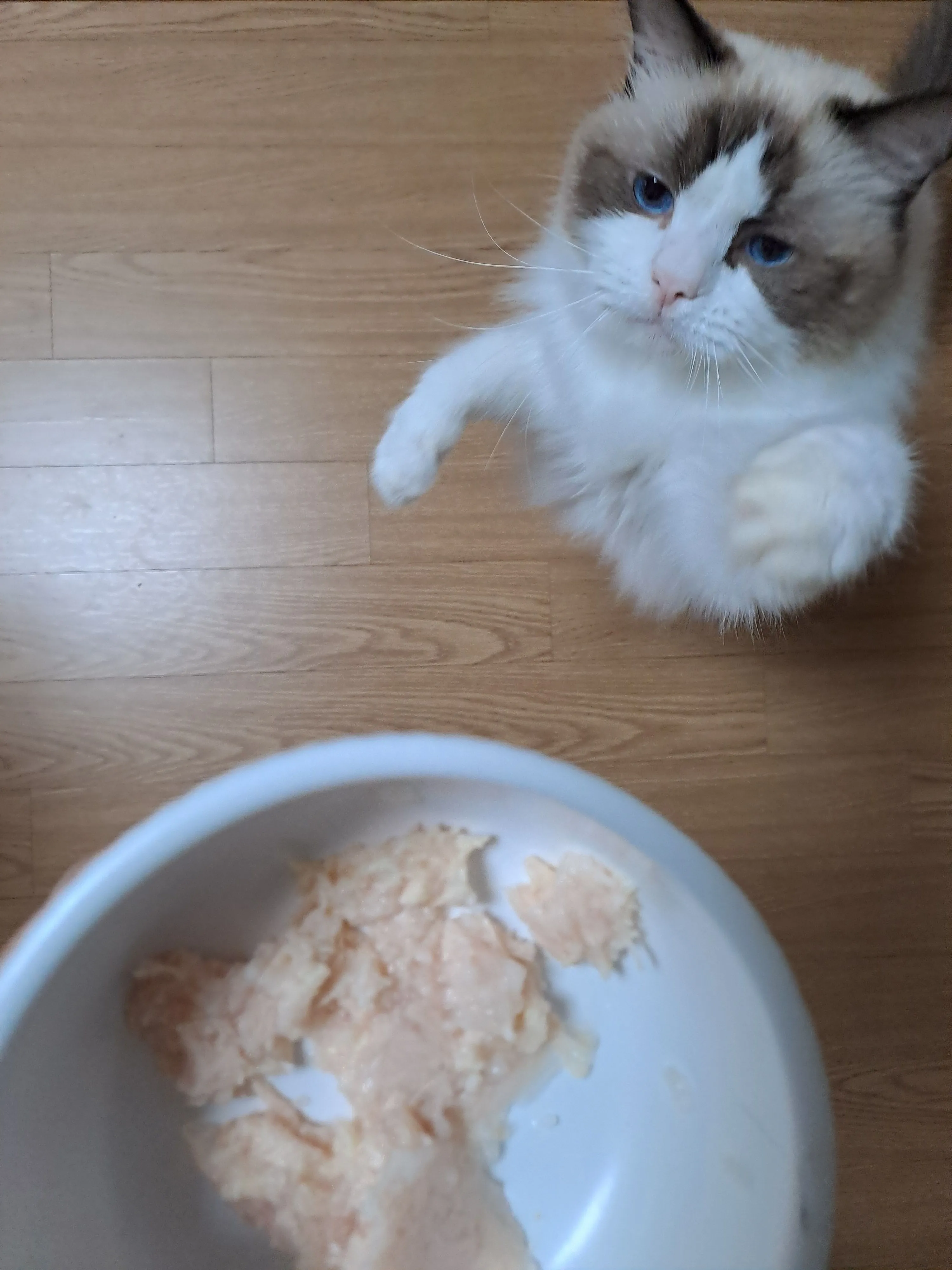 베스트 후기 이미지