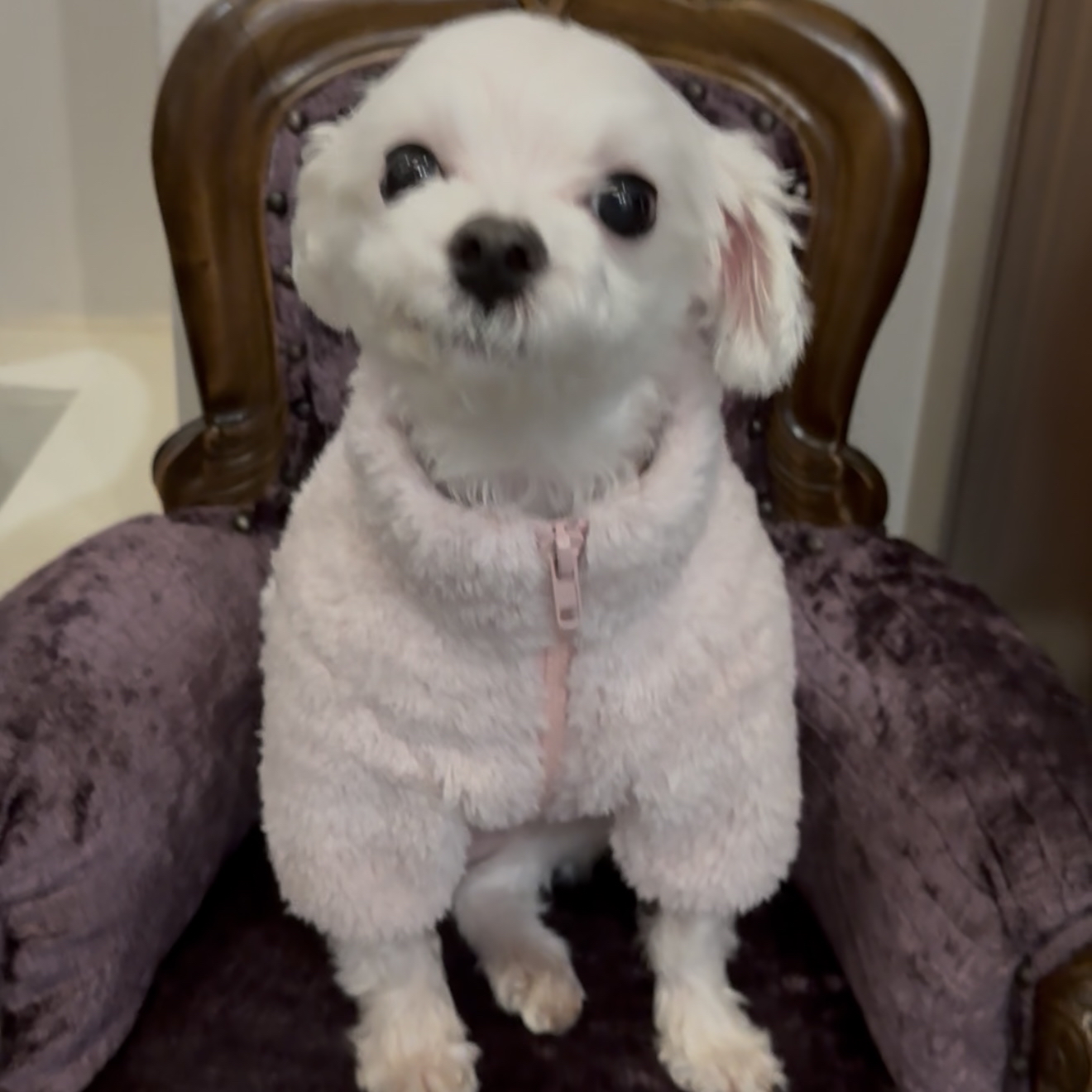 베스트 후기 이미지