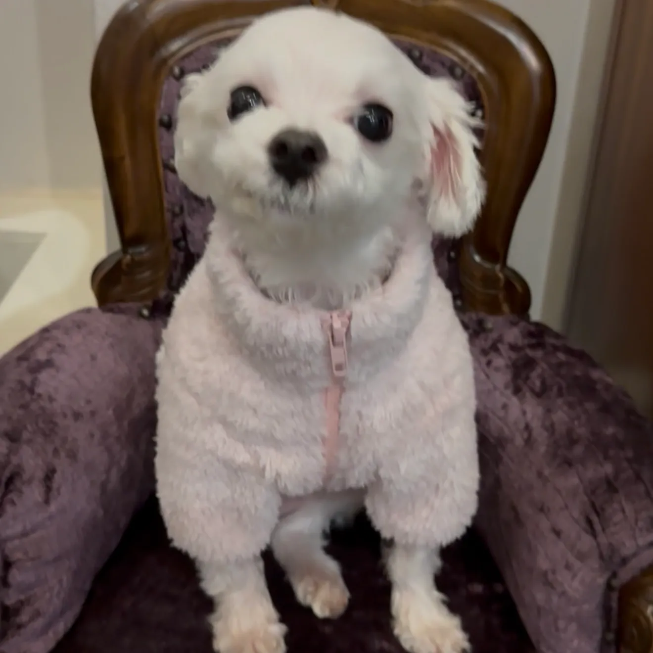 베스트 후기 이미지