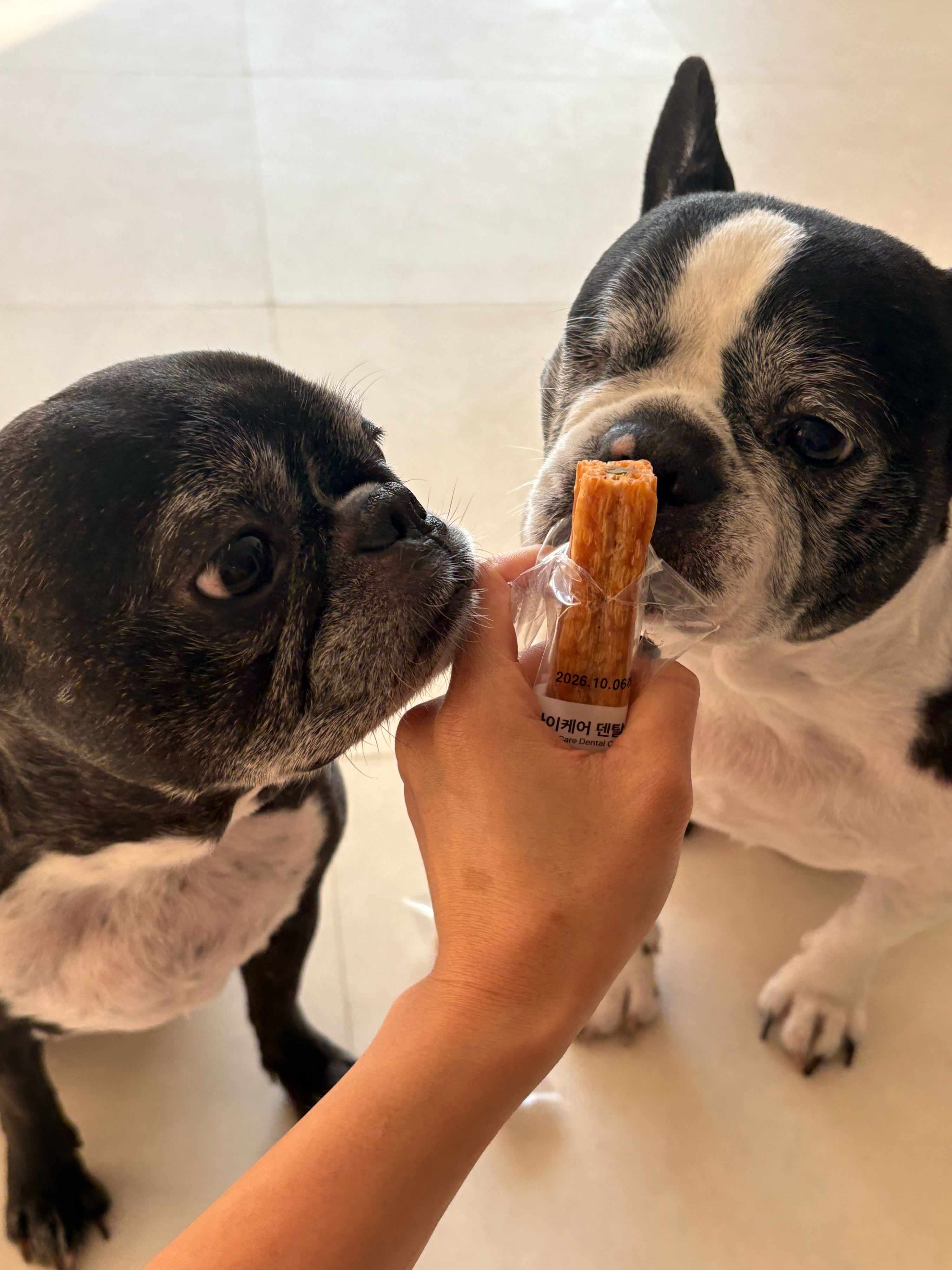 베스트 후기 이미지