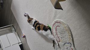 베스트 후기 이미지