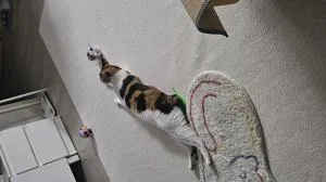 베스트 후기 이미지