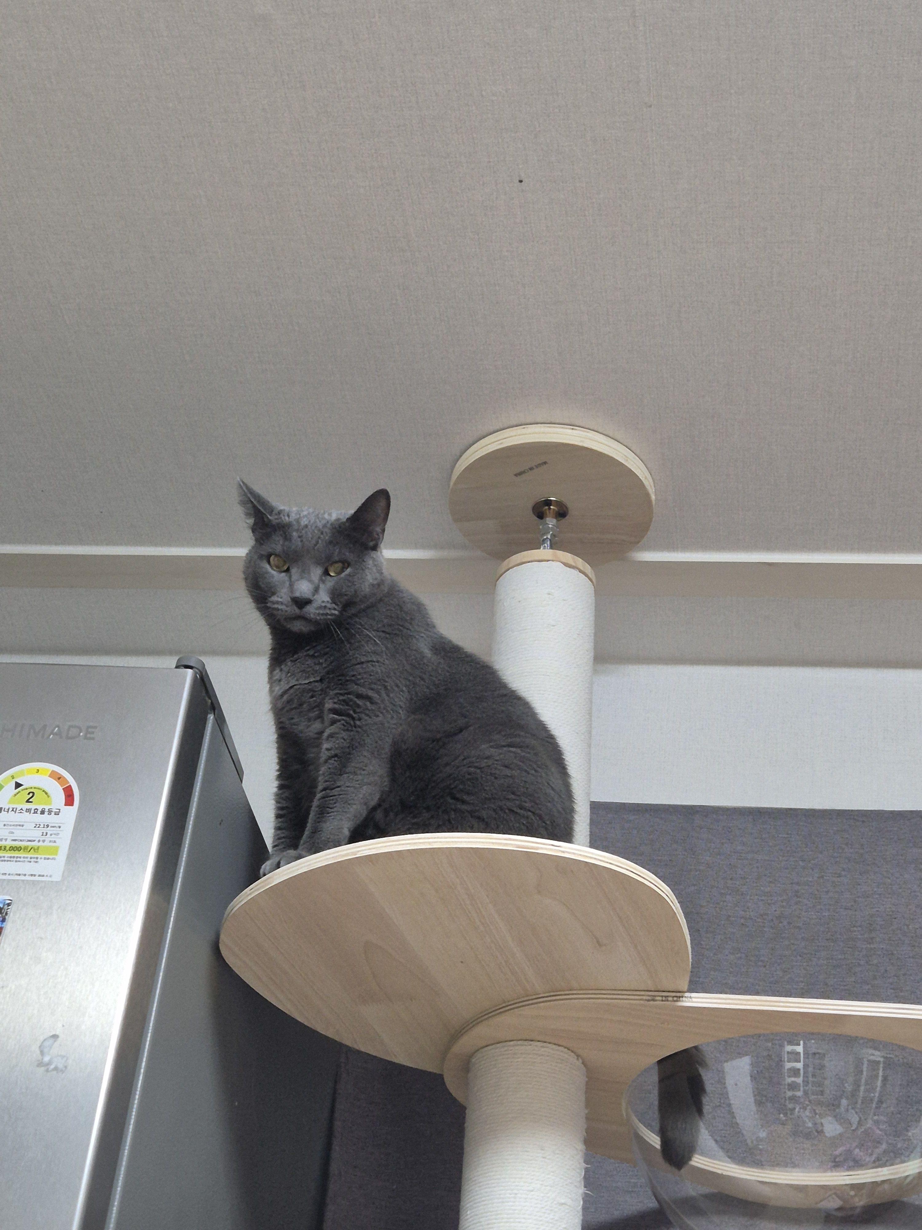 베스트 후기 이미지