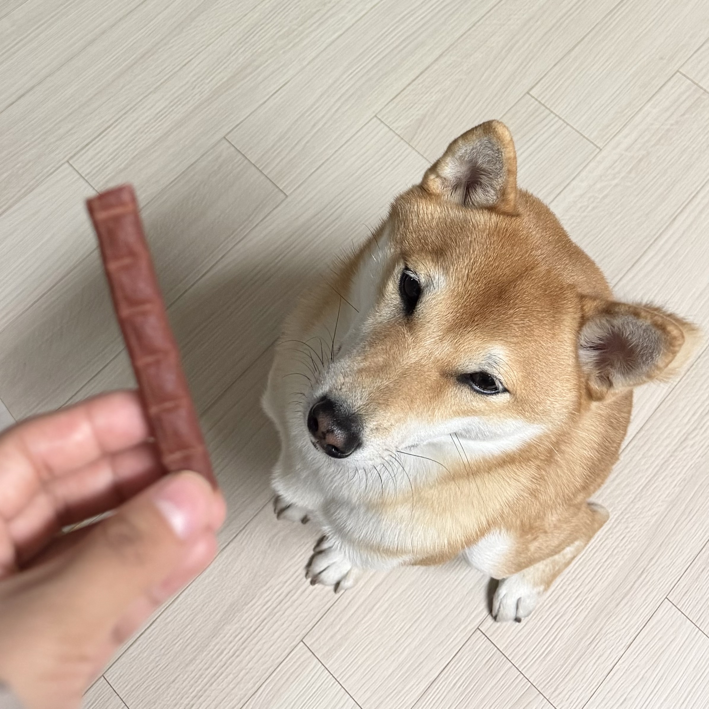 베스트 후기 이미지