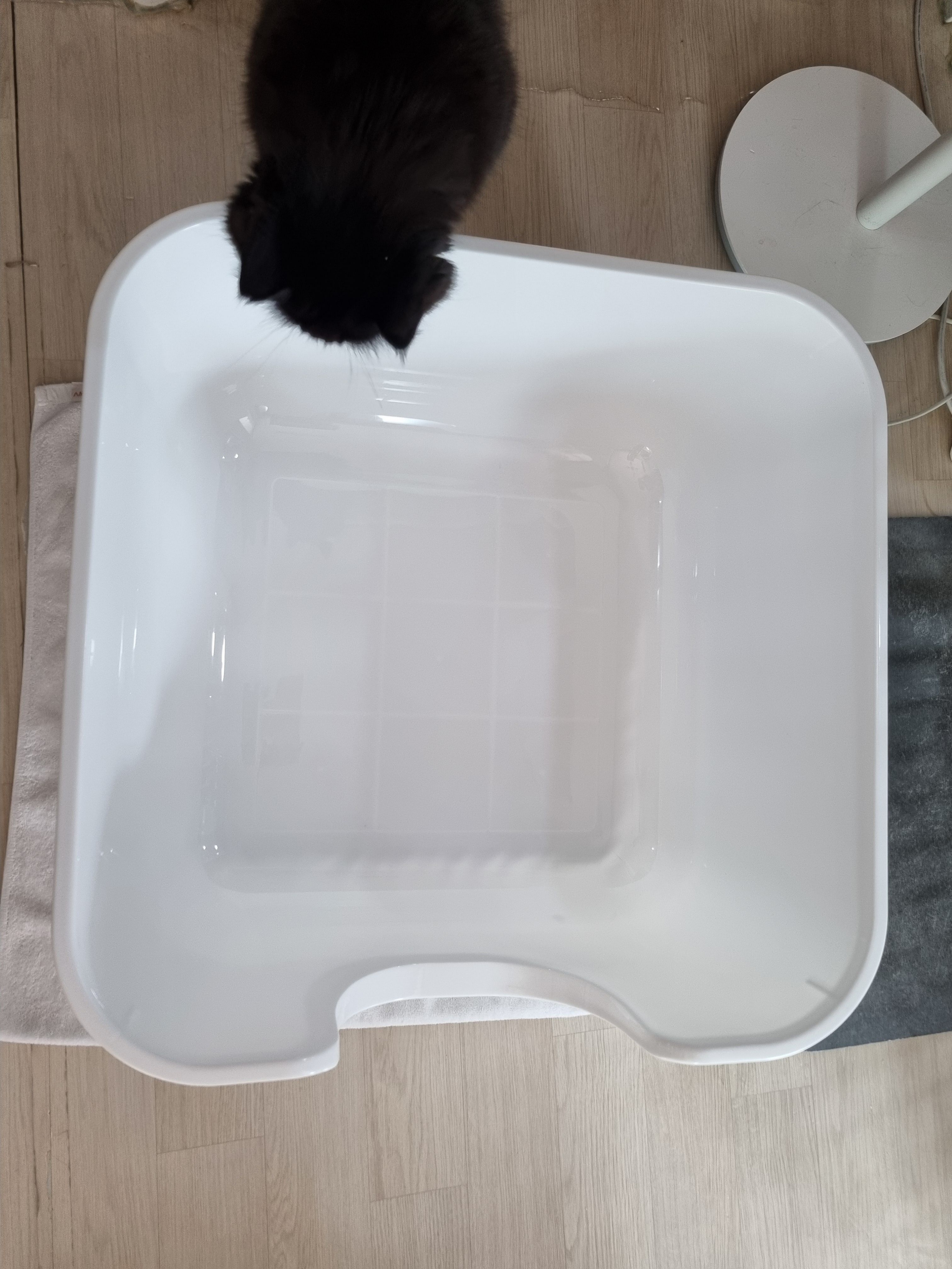 베스트 후기 이미지