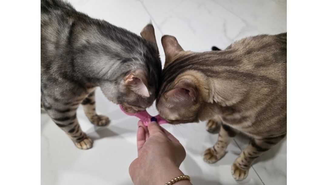 베스트 후기 이미지