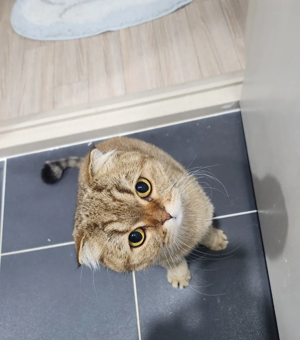 베스트 후기 이미지