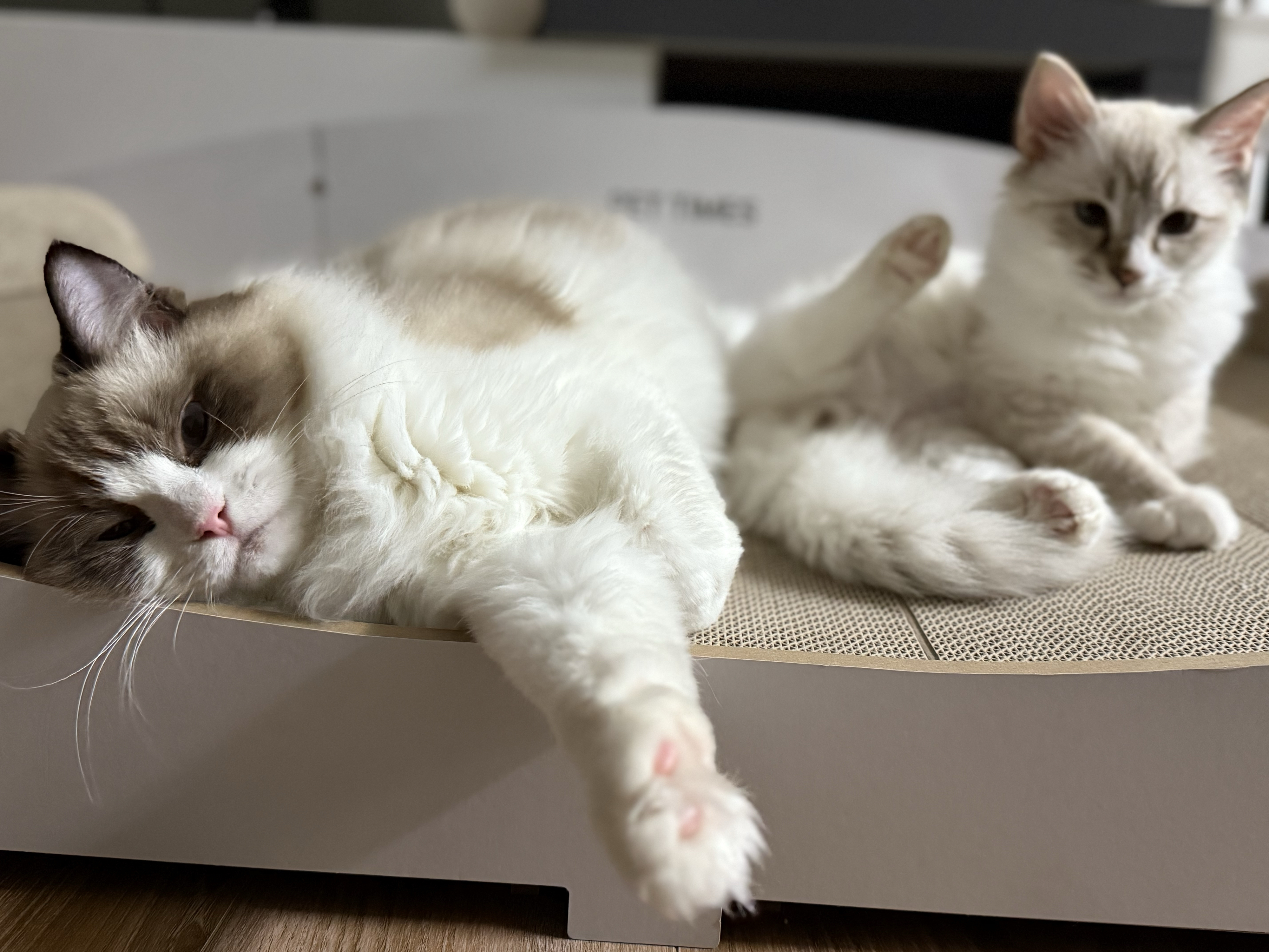 베스트 후기 이미지