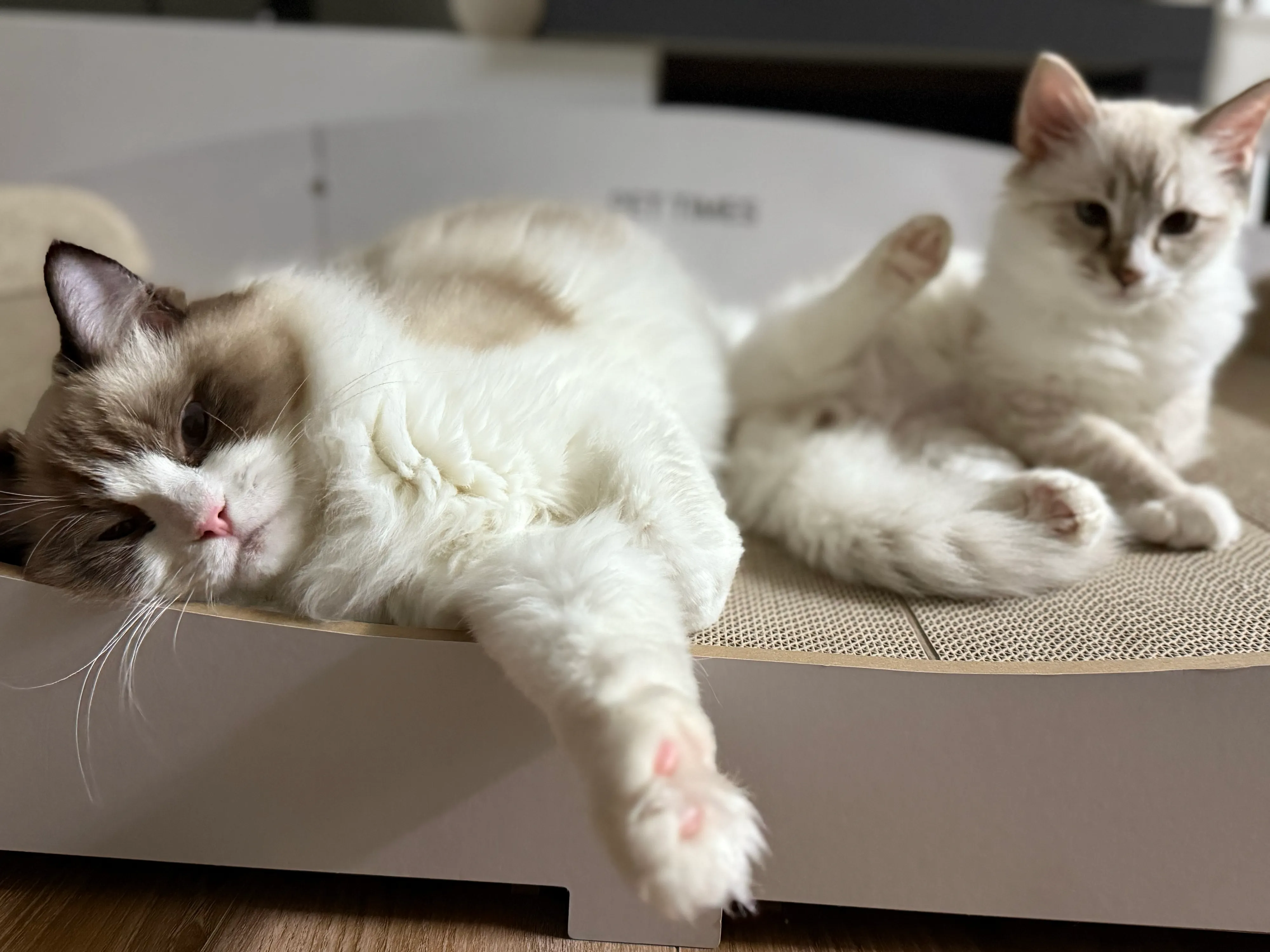 베스트 후기 이미지