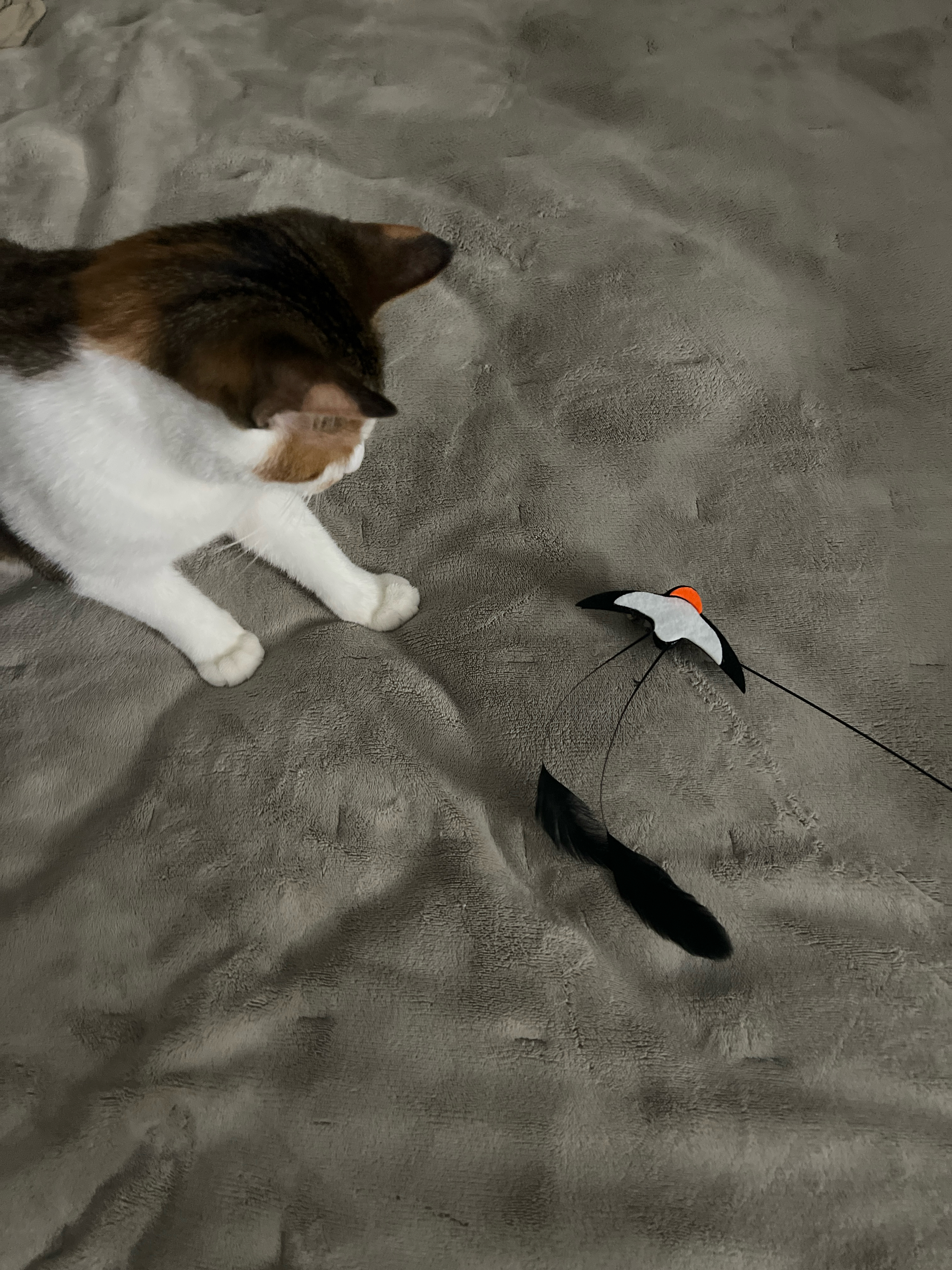 베스트 후기 이미지