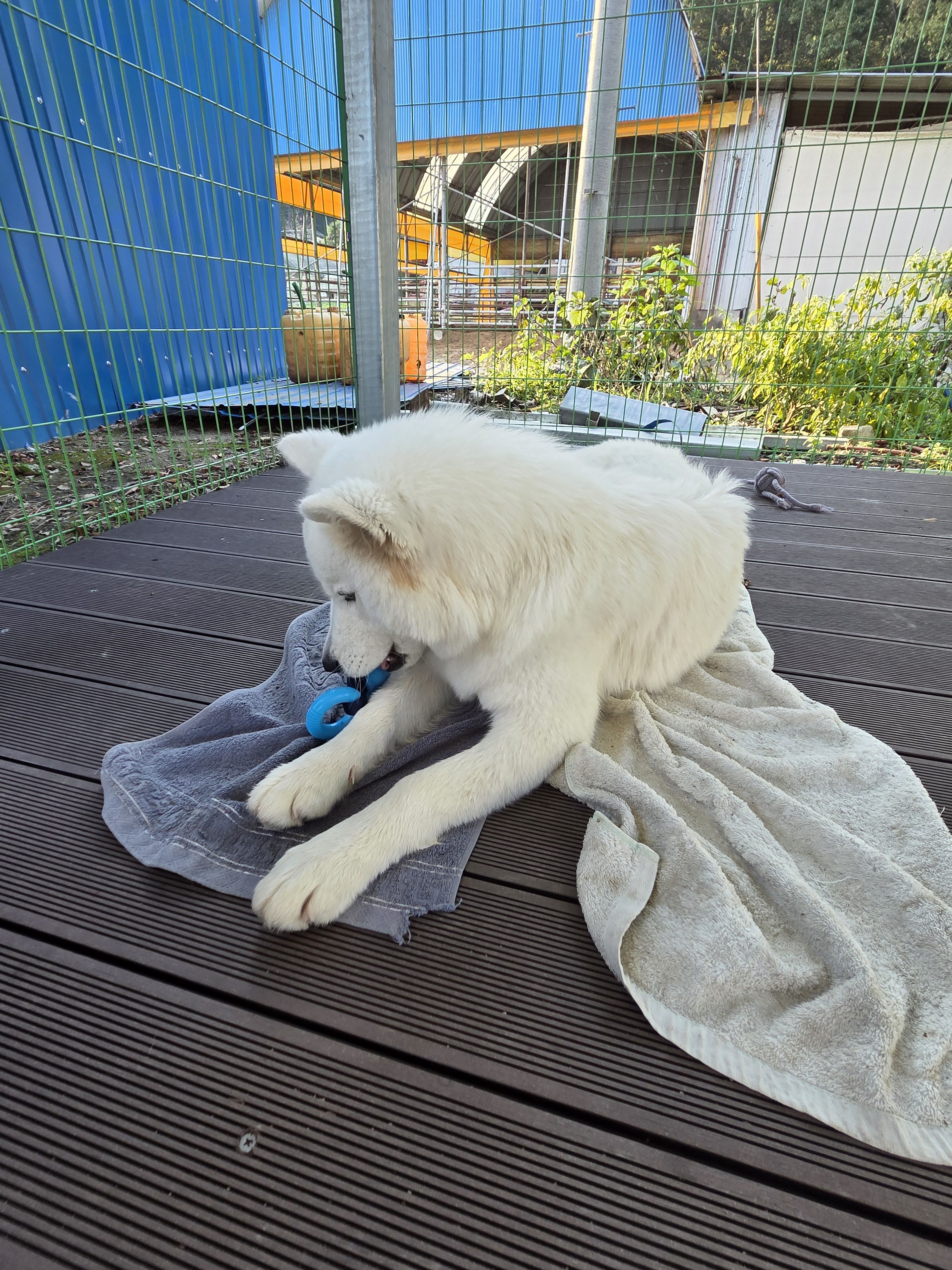 베스트 후기 이미지