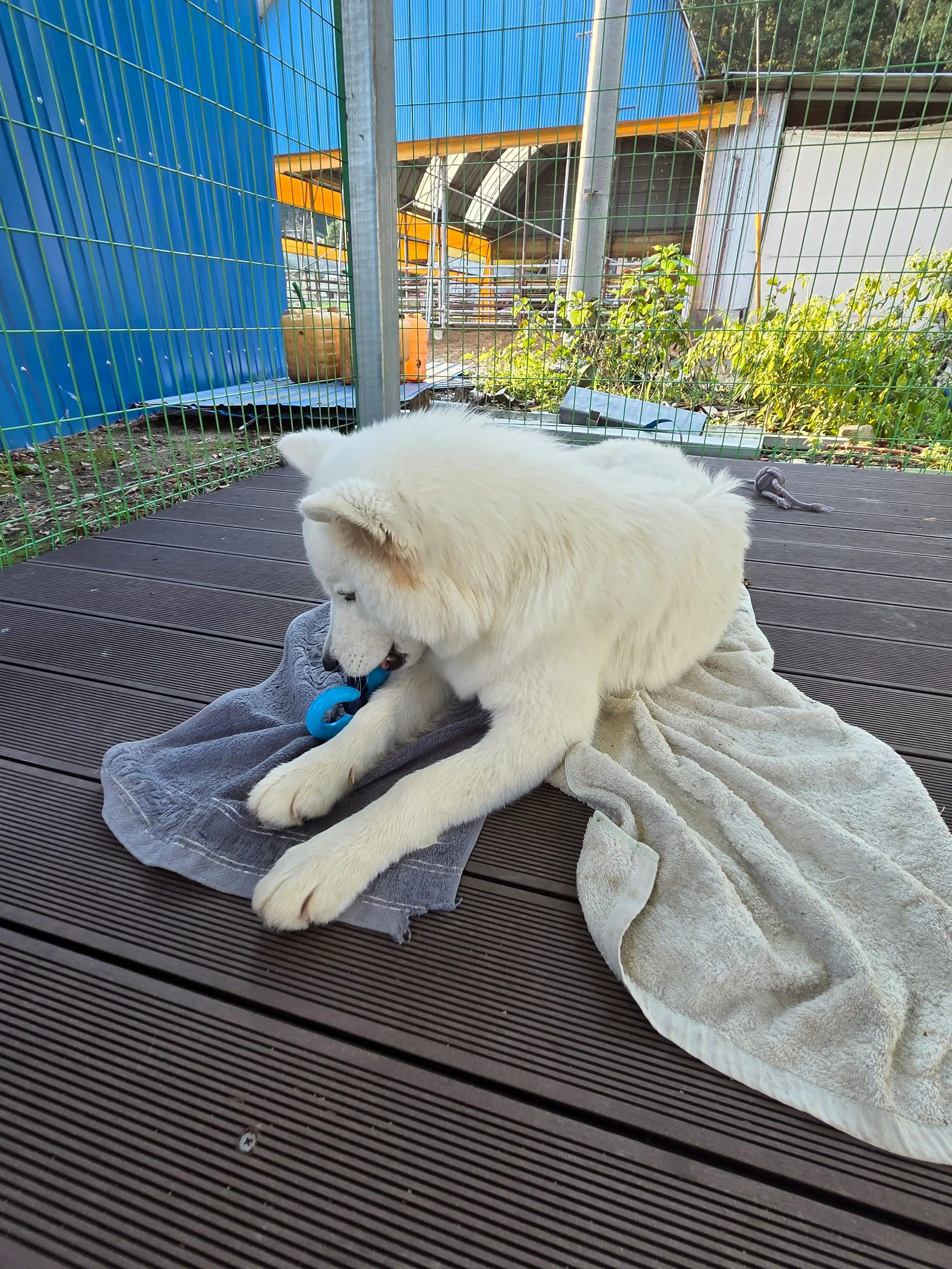 베스트 후기 이미지