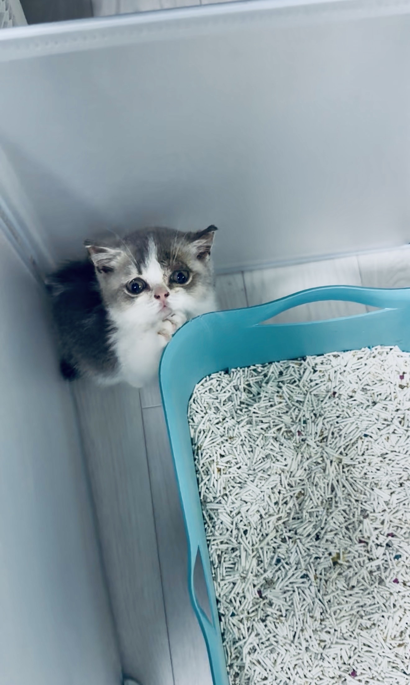 베스트 후기 이미지