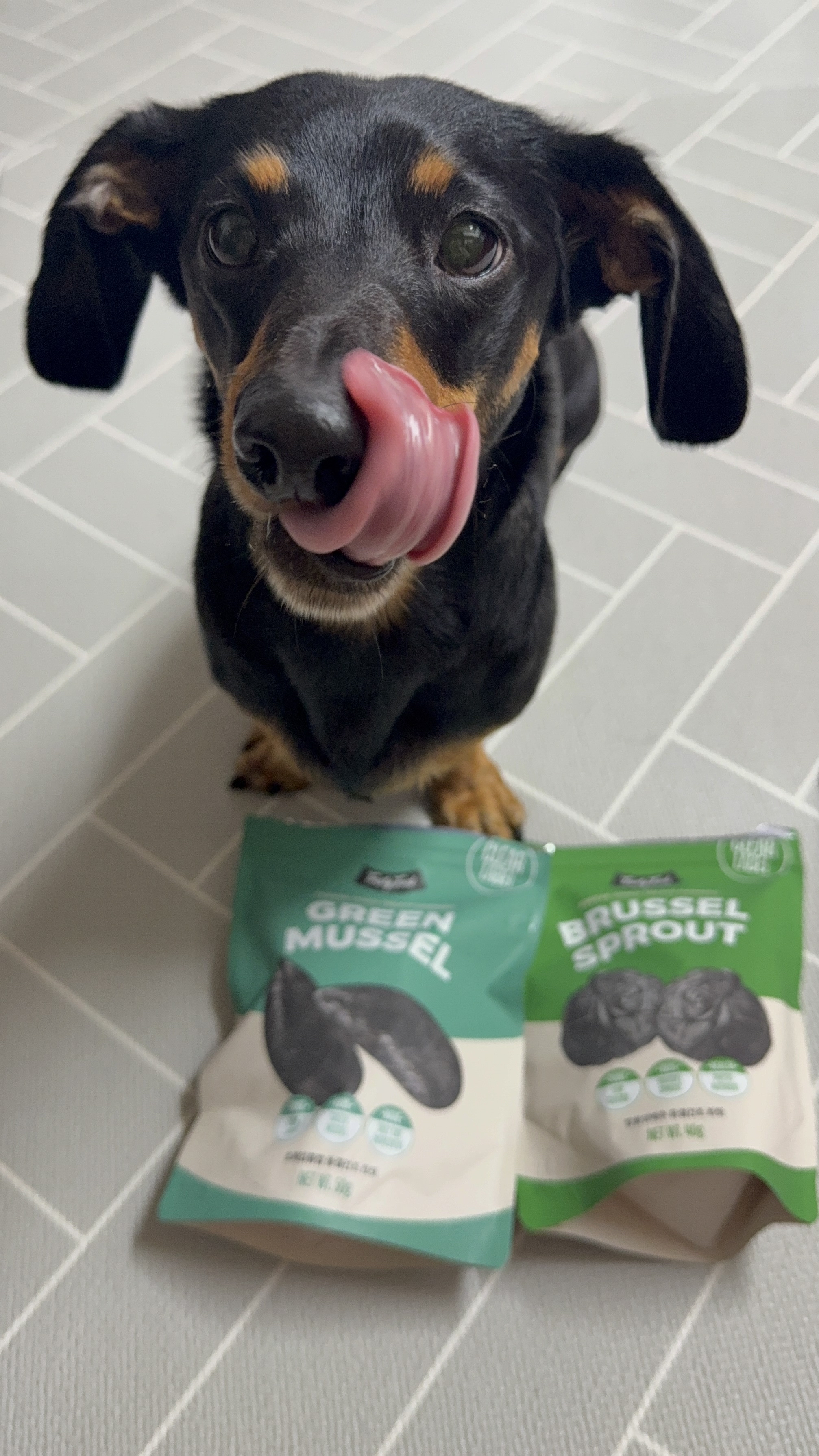 베스트 후기 이미지