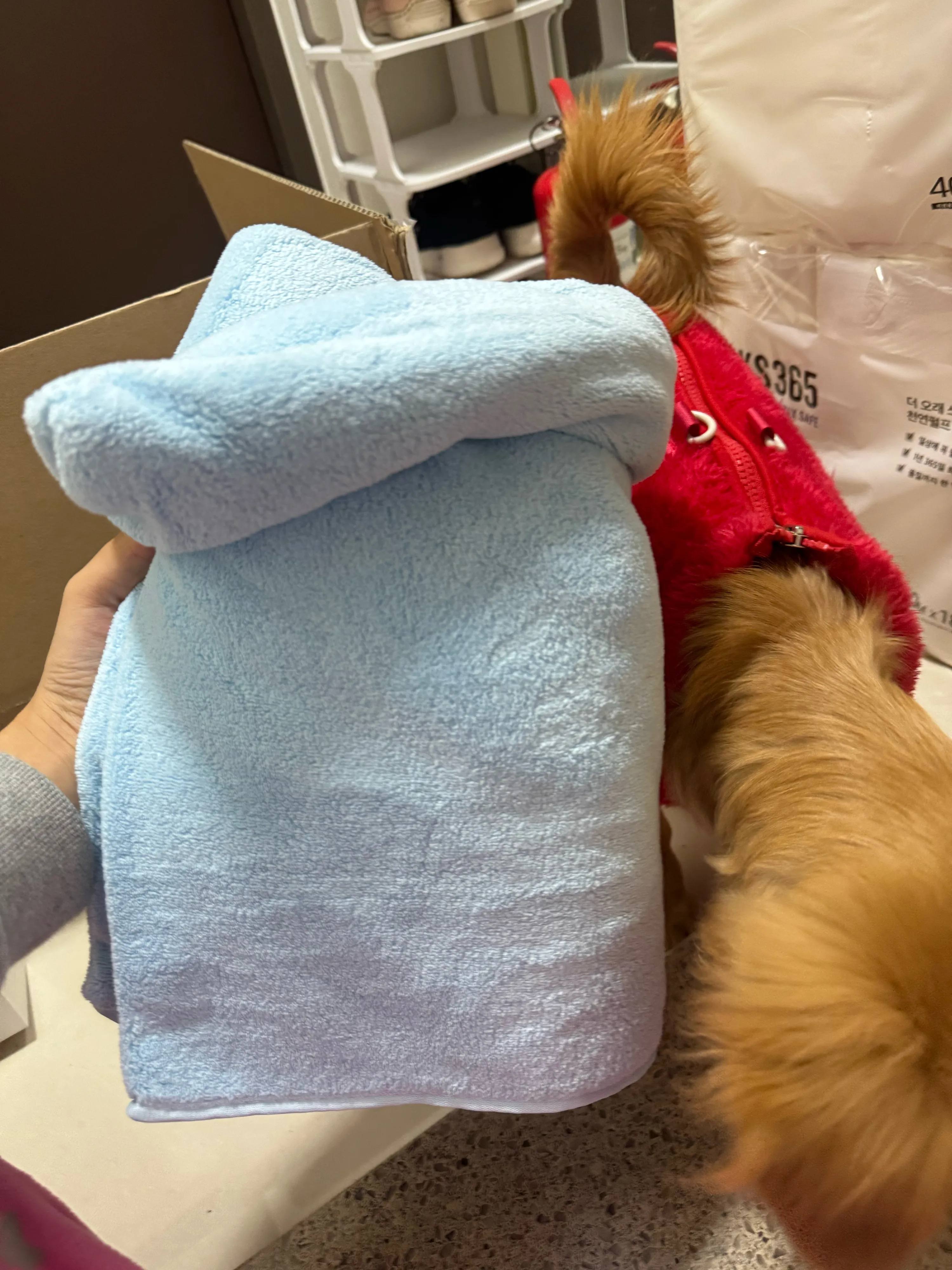 베스트 프라이스 극세사 펫타올 대형/특대형 베스트 후기 이미지