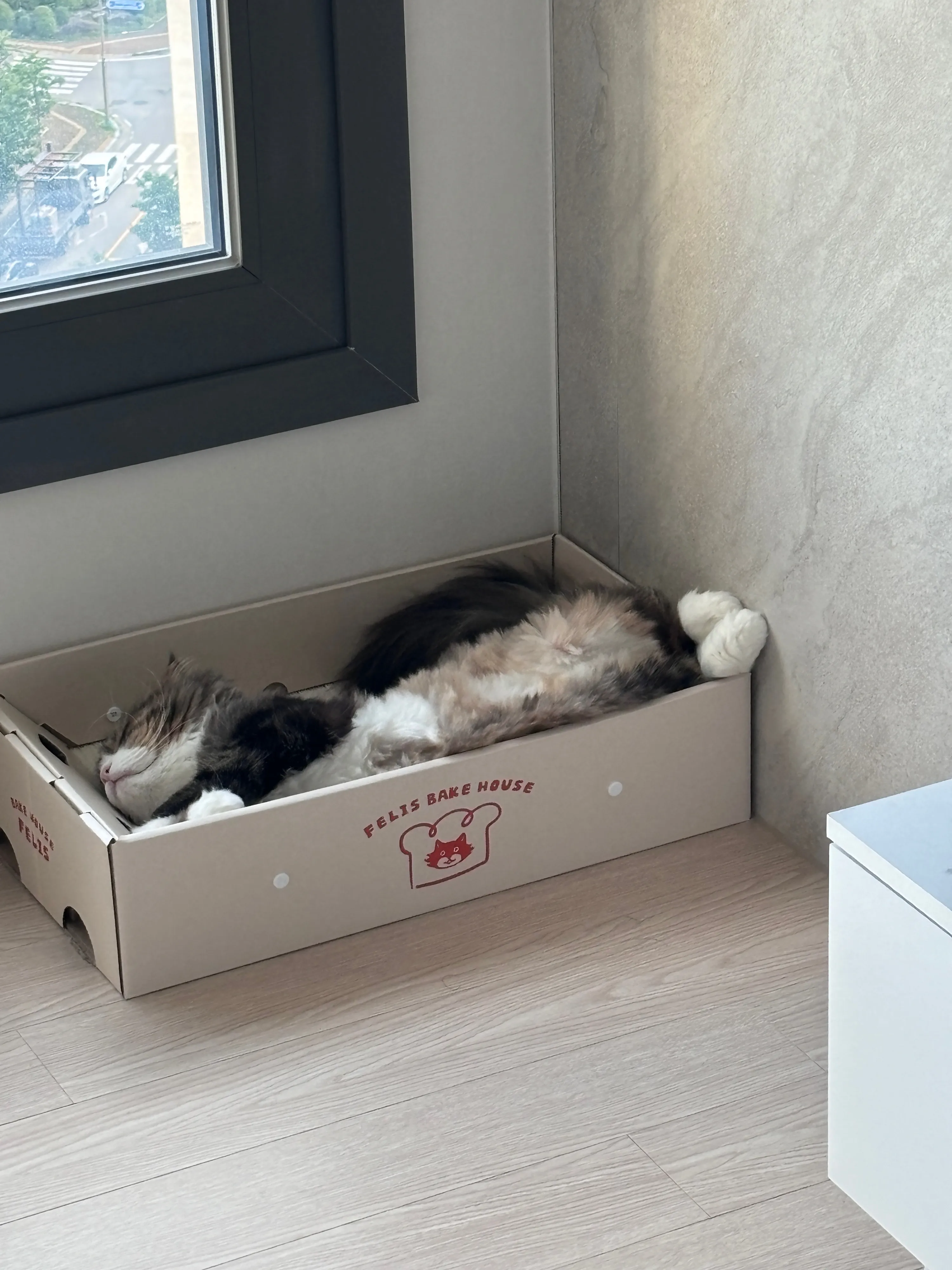 베스트 후기 이미지