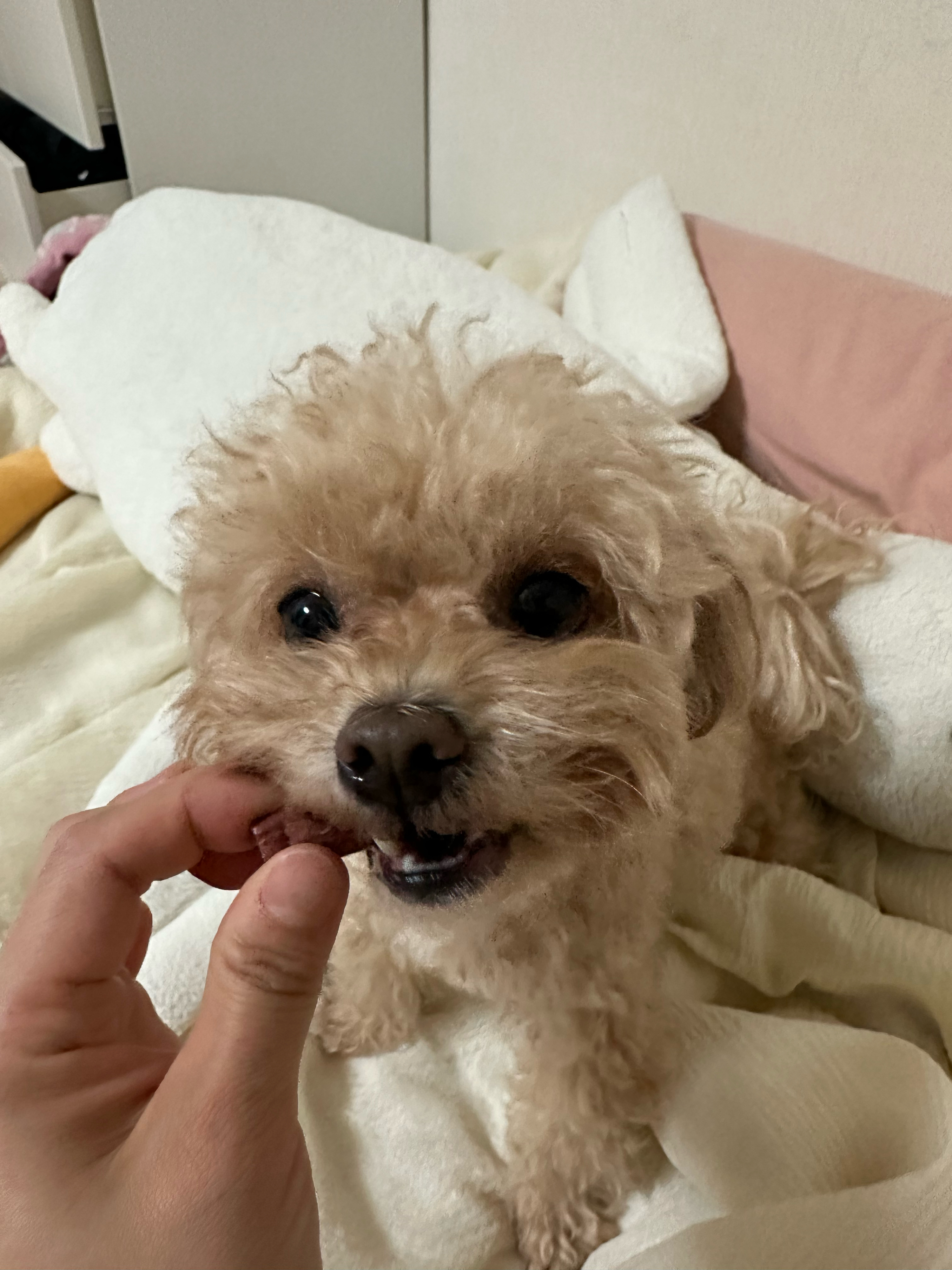 베스트 후기 이미지