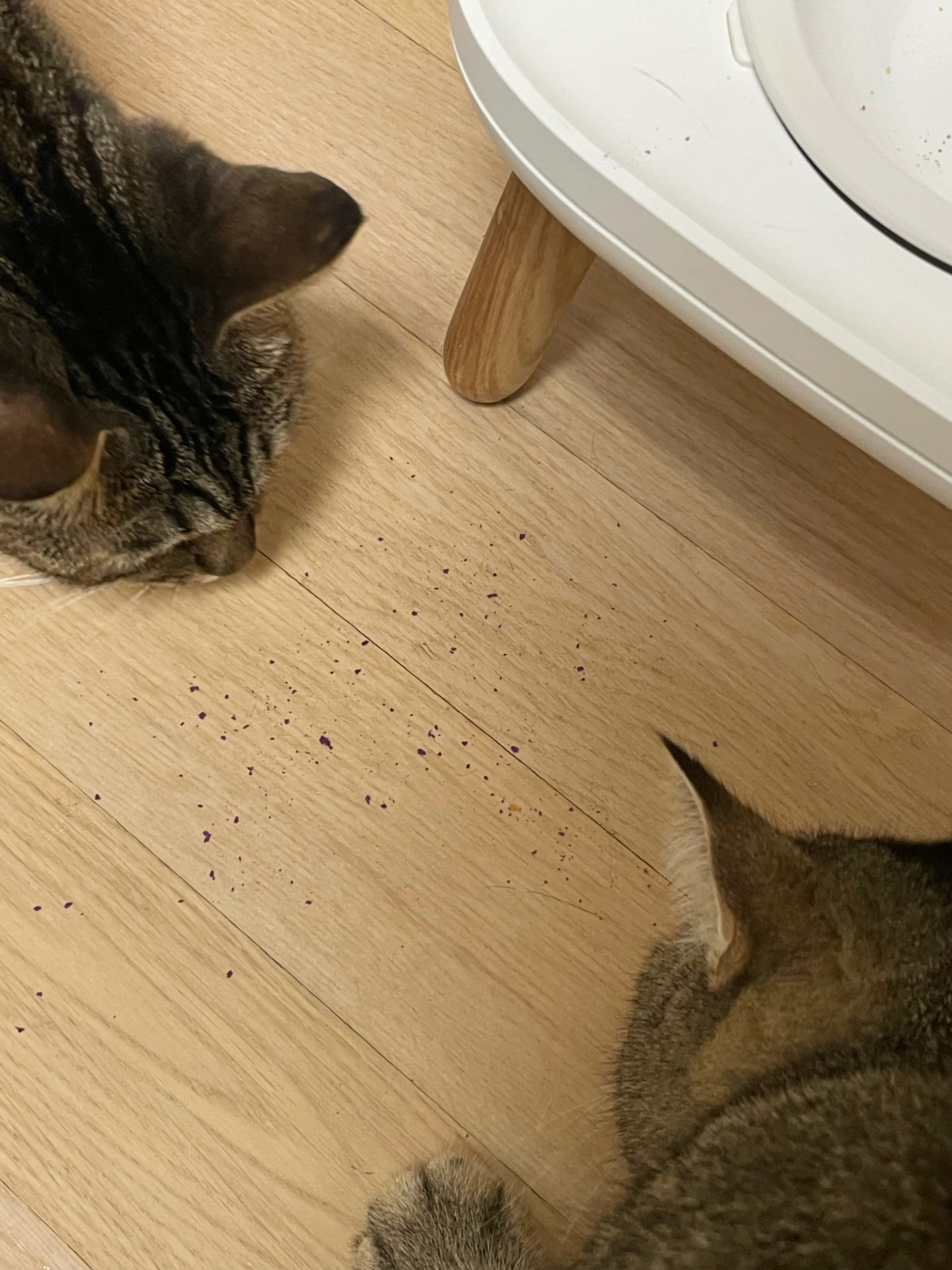 베스트 후기 이미지