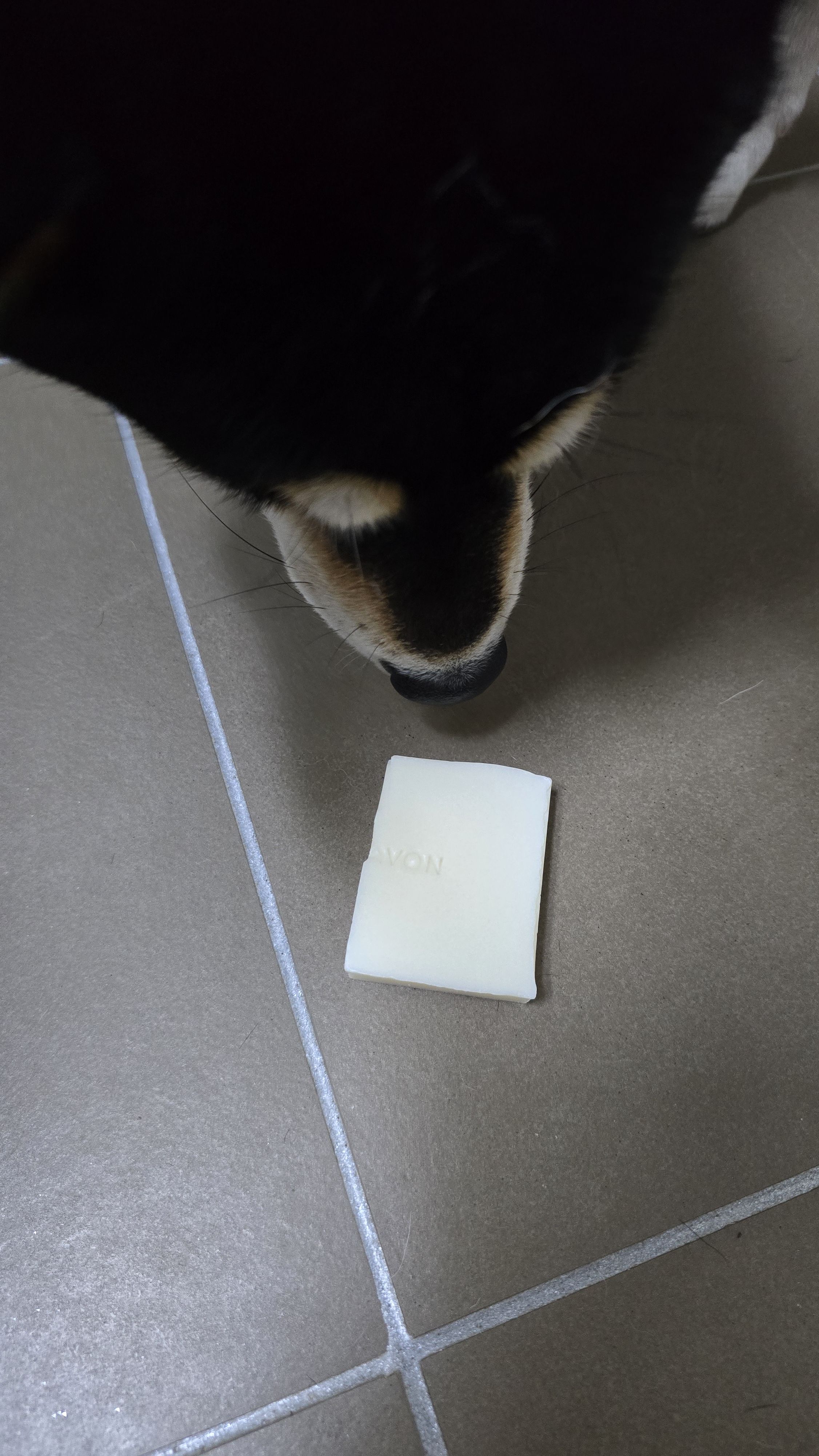 베스트 후기 이미지