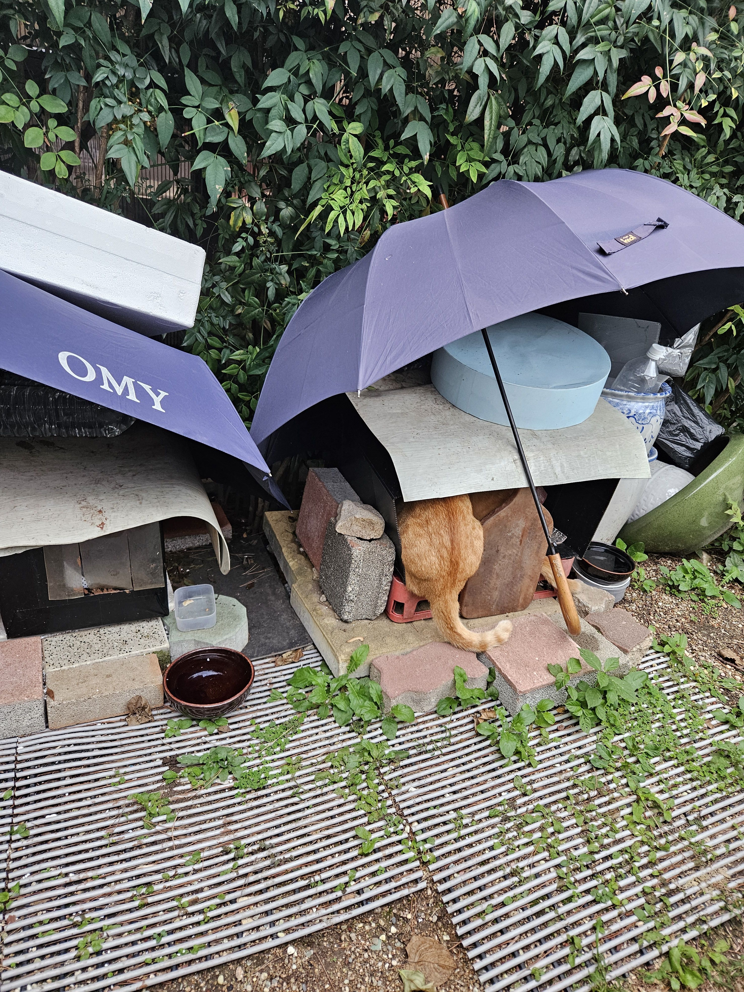 베스트 후기 이미지