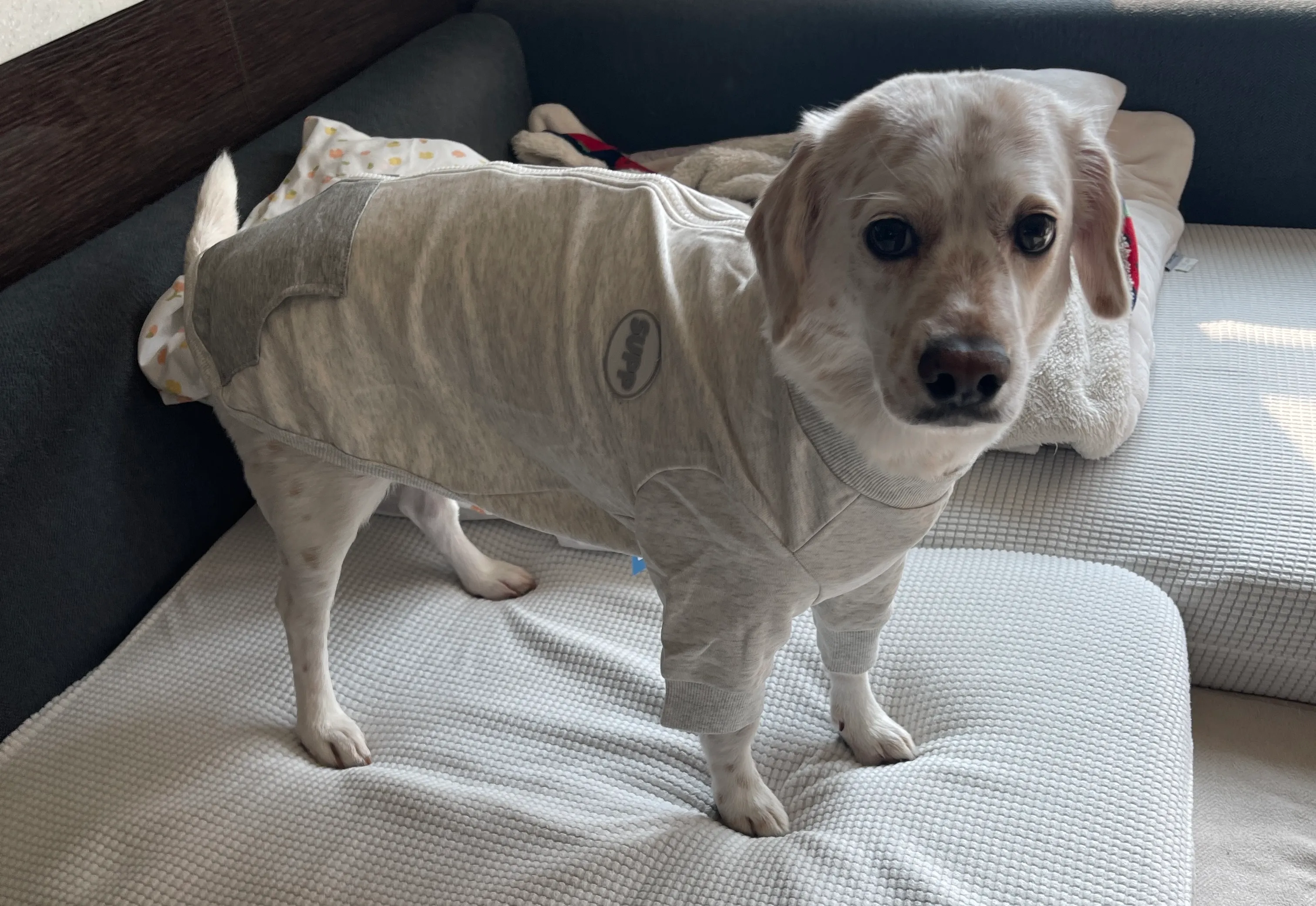 베스트 후기 이미지