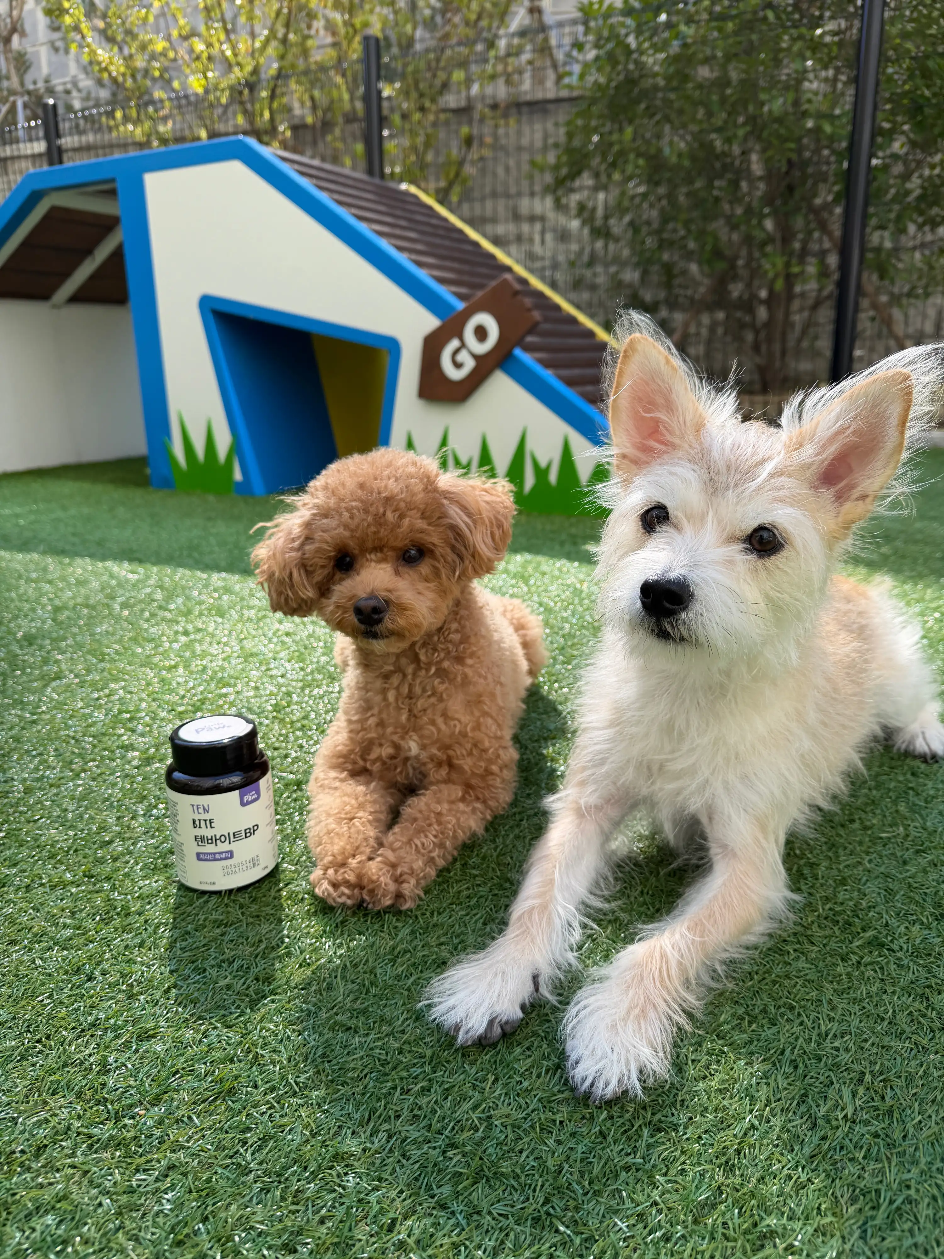 베스트 후기 이미지