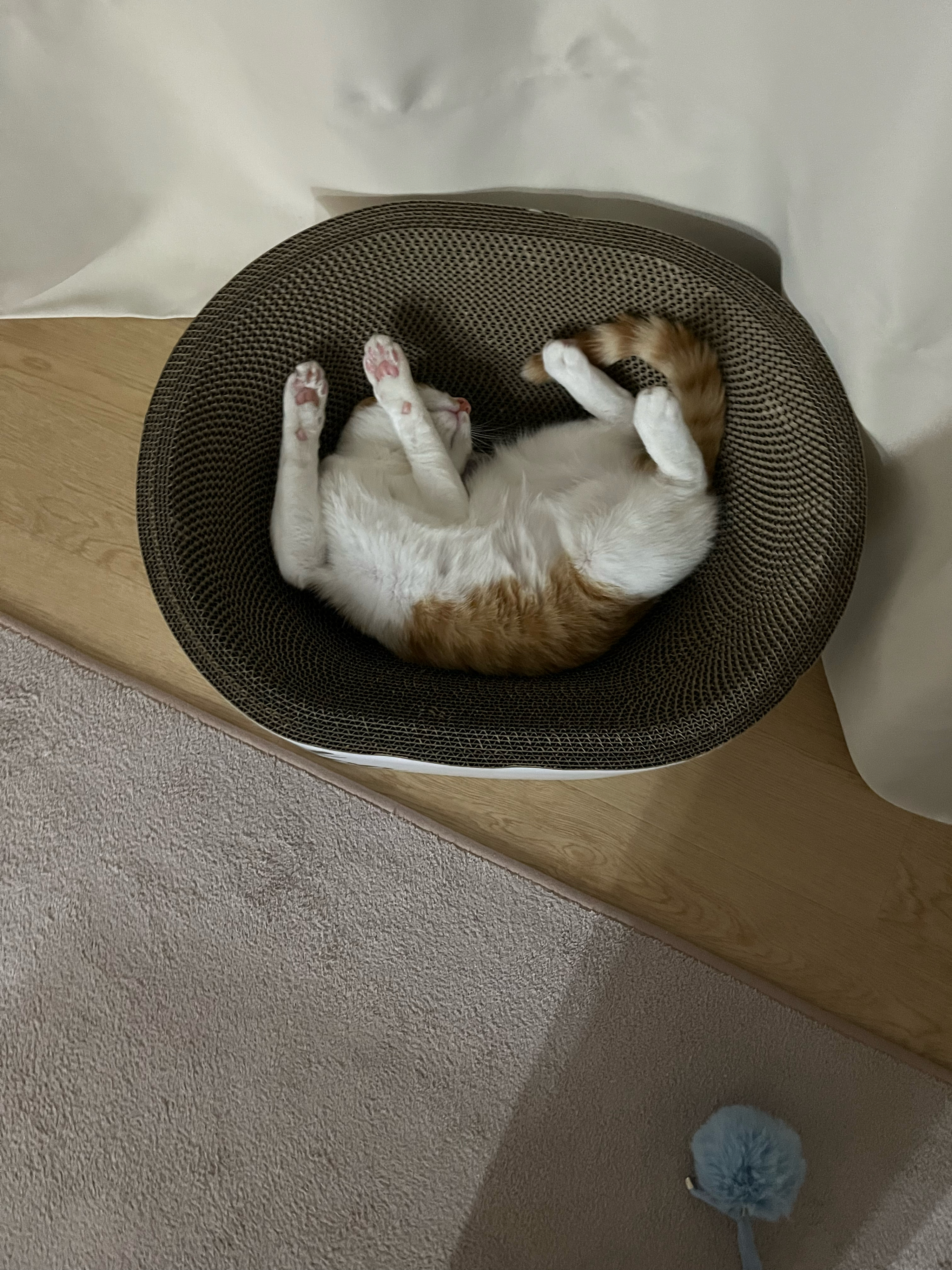 베스트 후기 이미지