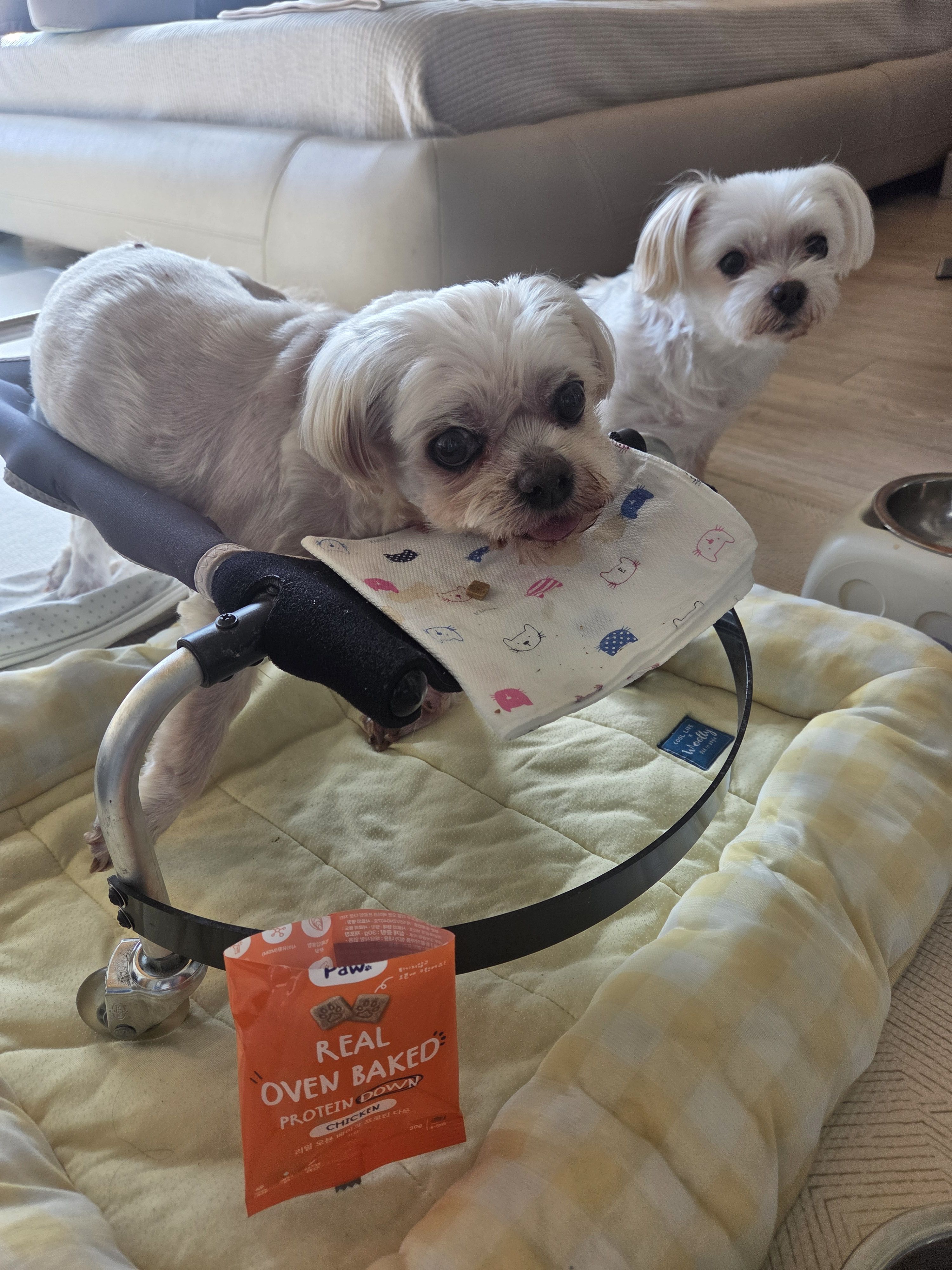 베스트 후기 이미지