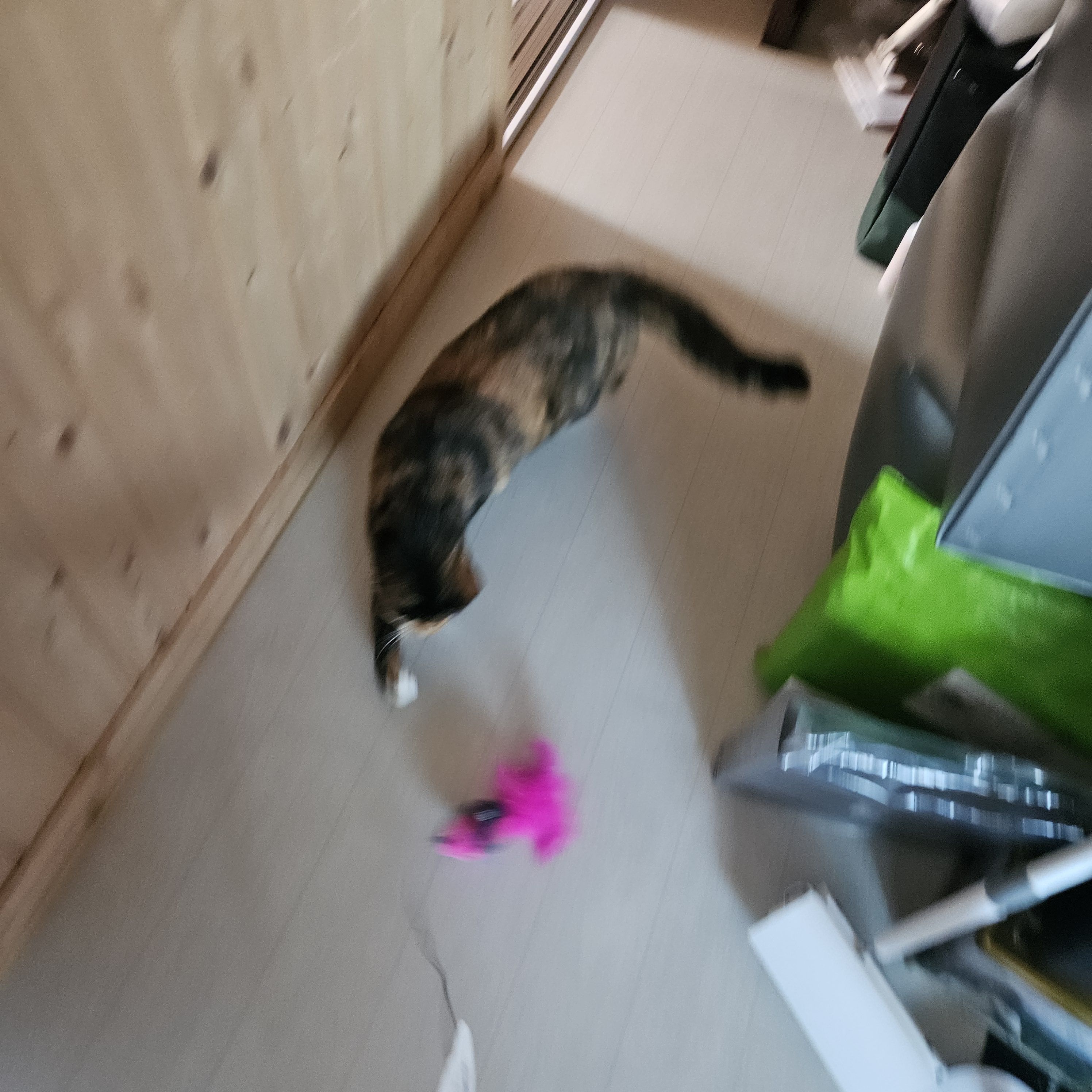 베스트 후기 이미지